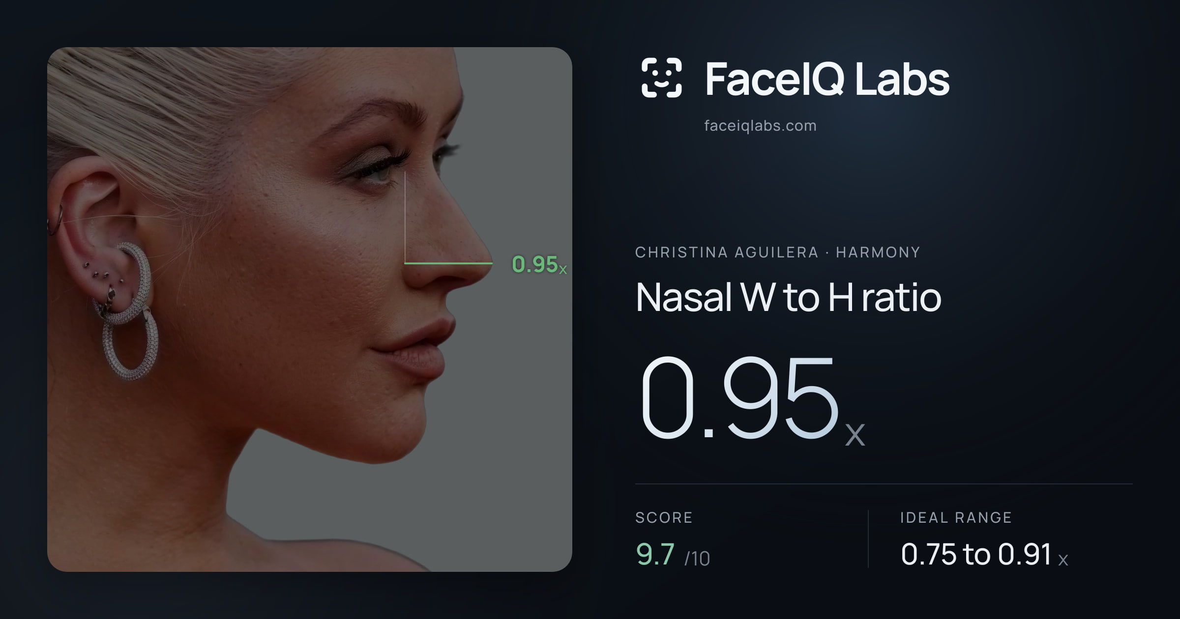 Christina Aguilera Nasal W to H ratio: 0.95x, drawn on the photo
