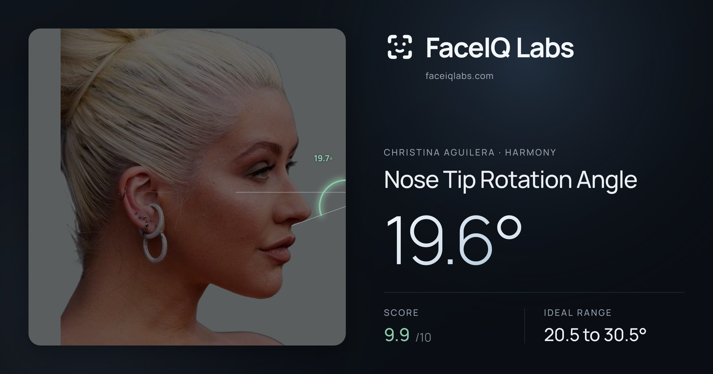 Christina Aguilera Nose Tip Rotation Angle: 19.6°, drawn on the photo