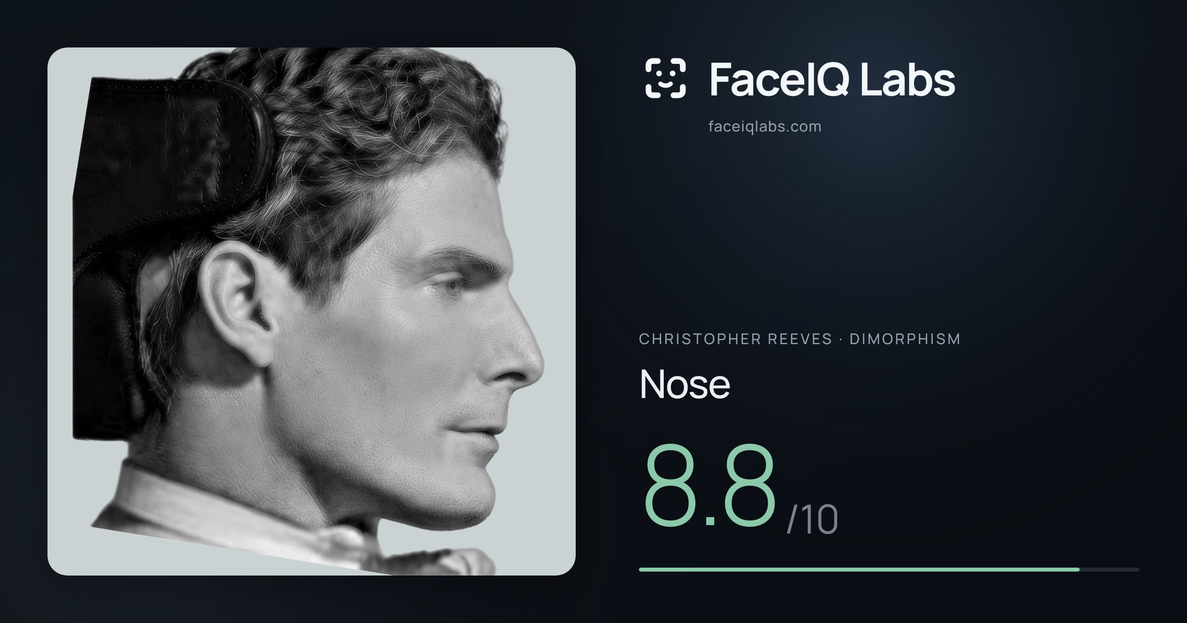 Christopher Reeves Nose: 8.8/10, drawn on the photo