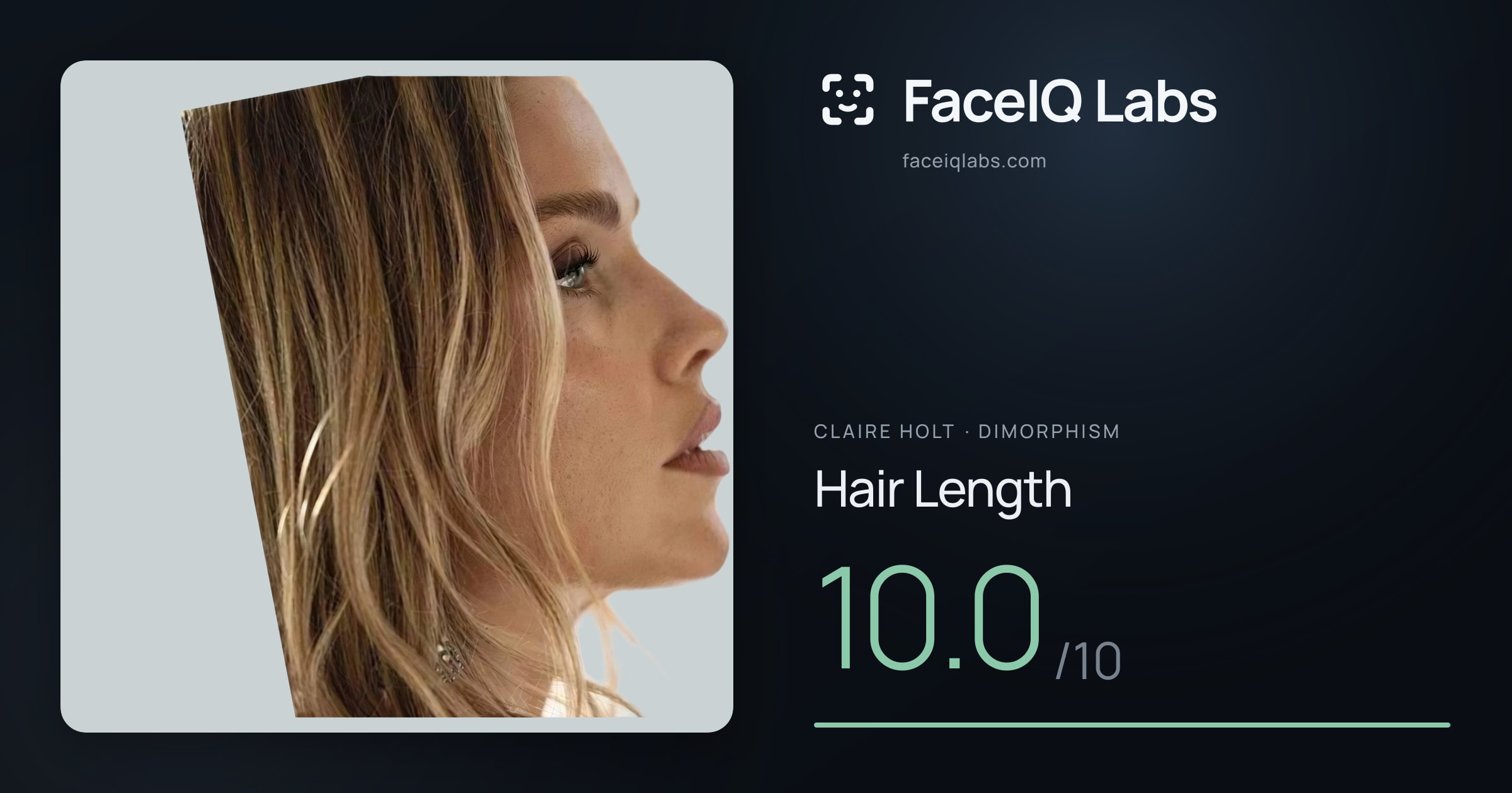 Claire Holt Hair Length: 10.0/10, drawn on the photo