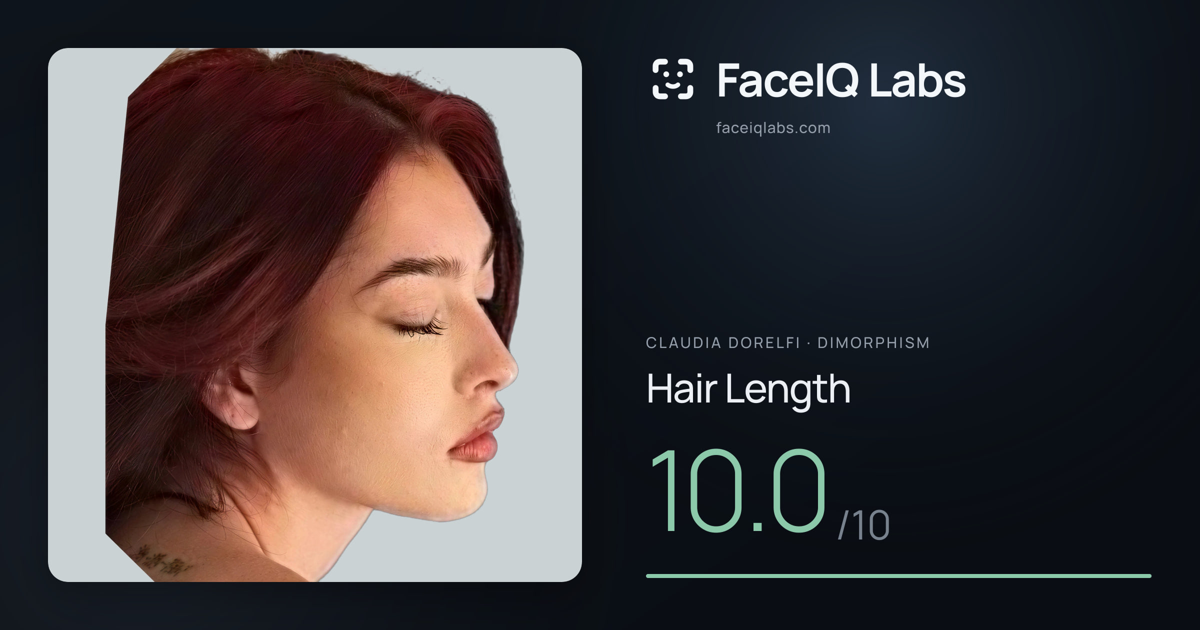 Claudia Dorelfi Hair Length: 10.0/10, drawn on the photo