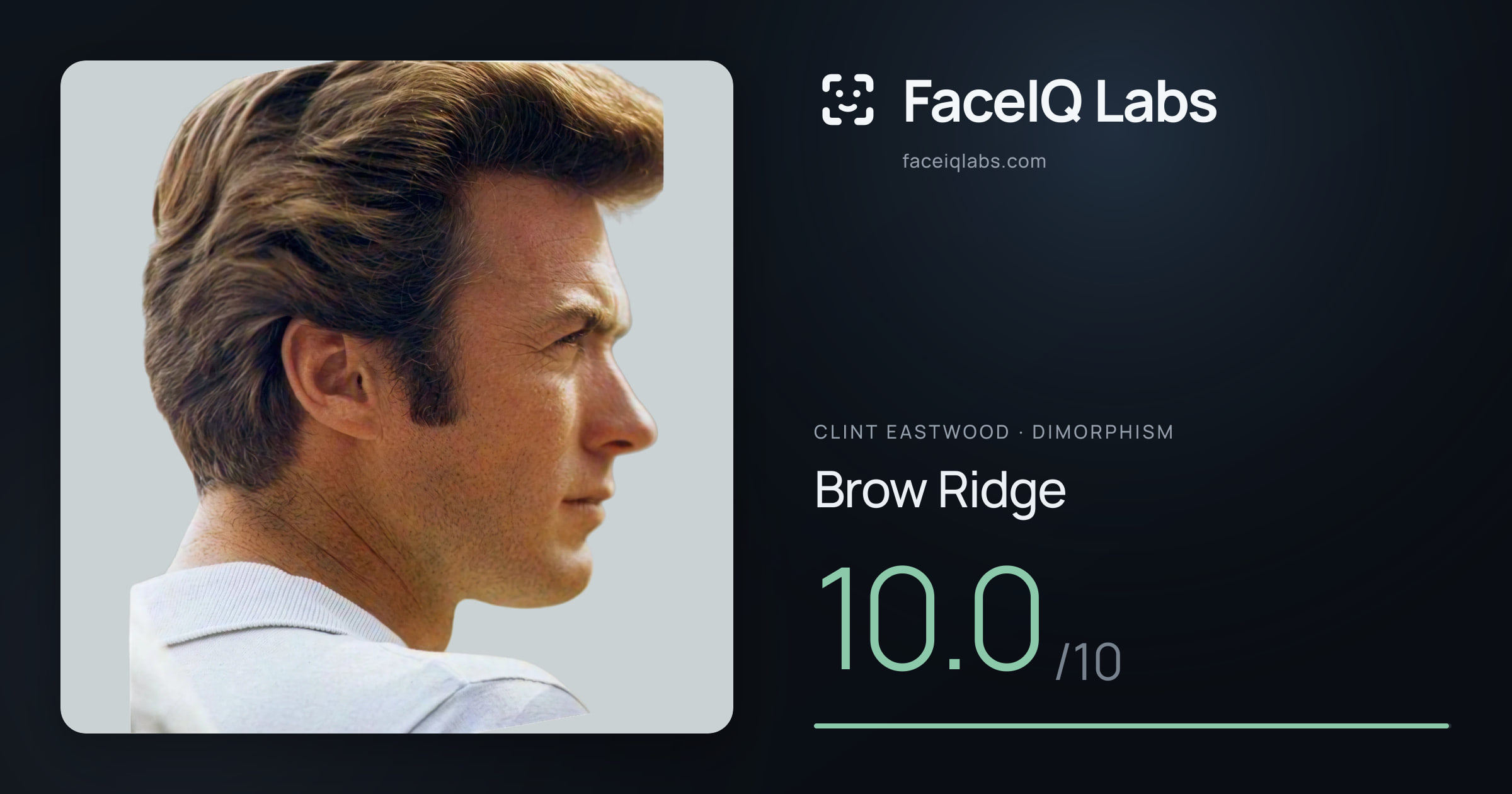 Clint Eastwood Brow Ridge: 10.0/10, drawn on the photo