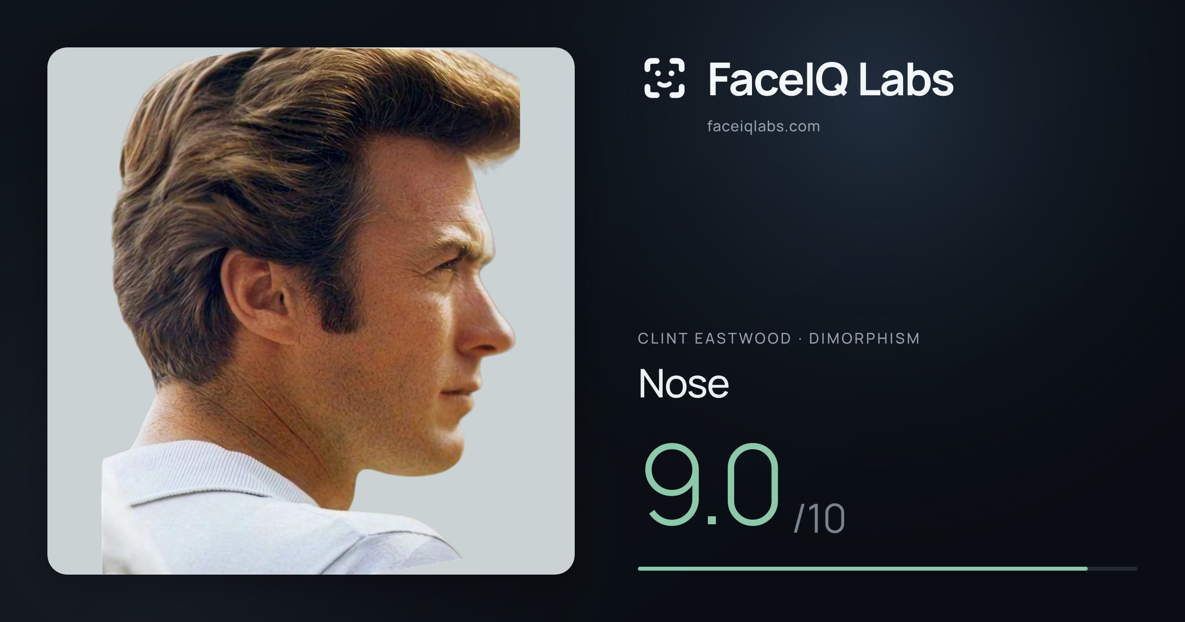 Clint Eastwood Nose: 9.0/10, drawn on the photo