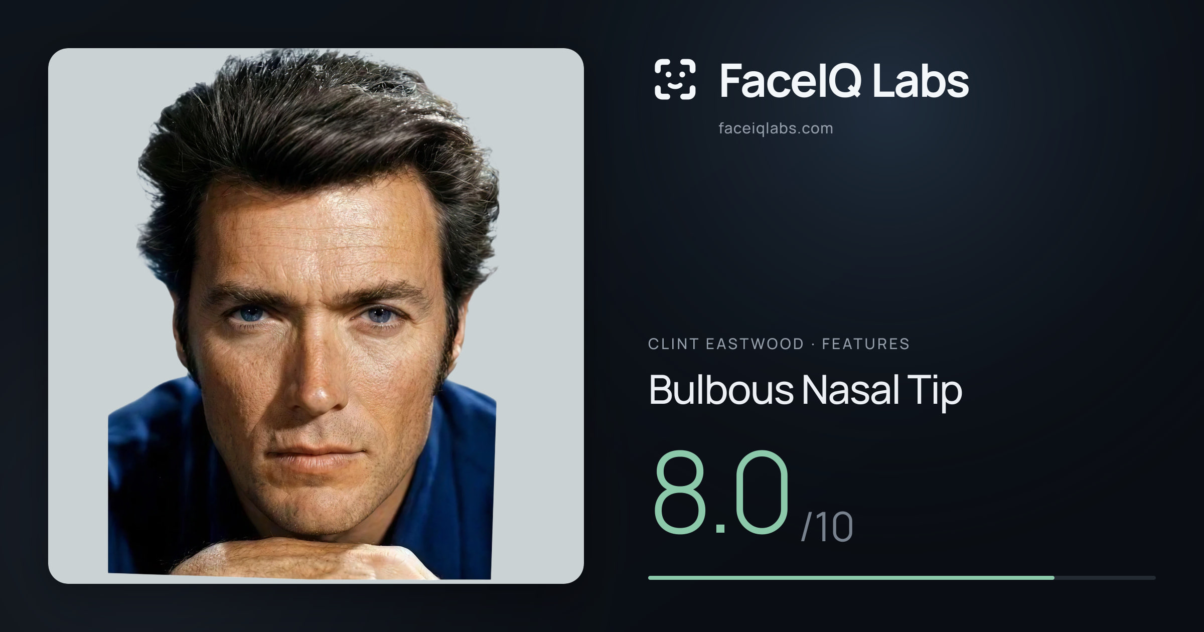Clint Eastwood Bulbous Nasal Tip: 8.0/10, drawn on the photo