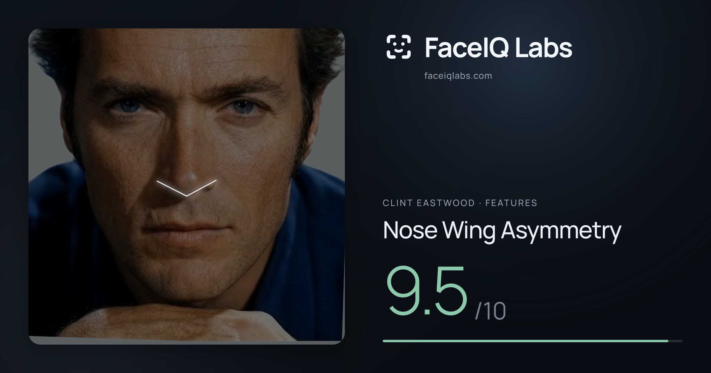 Clint Eastwood Nose Wing Asymmetry: 9.5/10, drawn on the photo