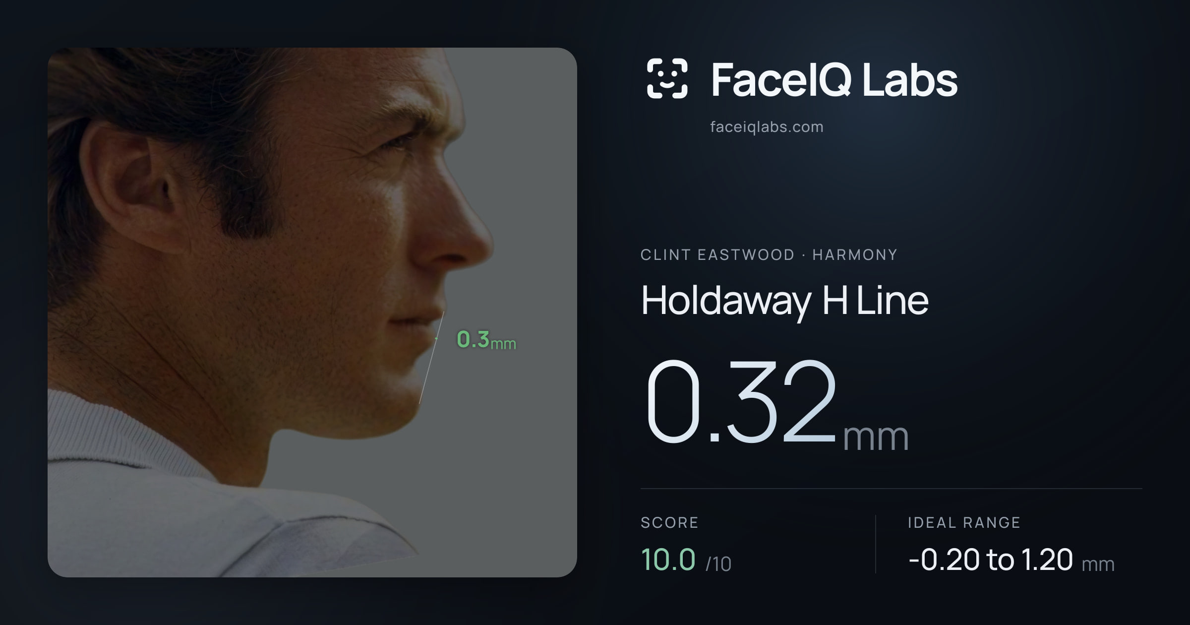 Clint Eastwood Holdaway H Line: 0.32mm, drawn on the photo
