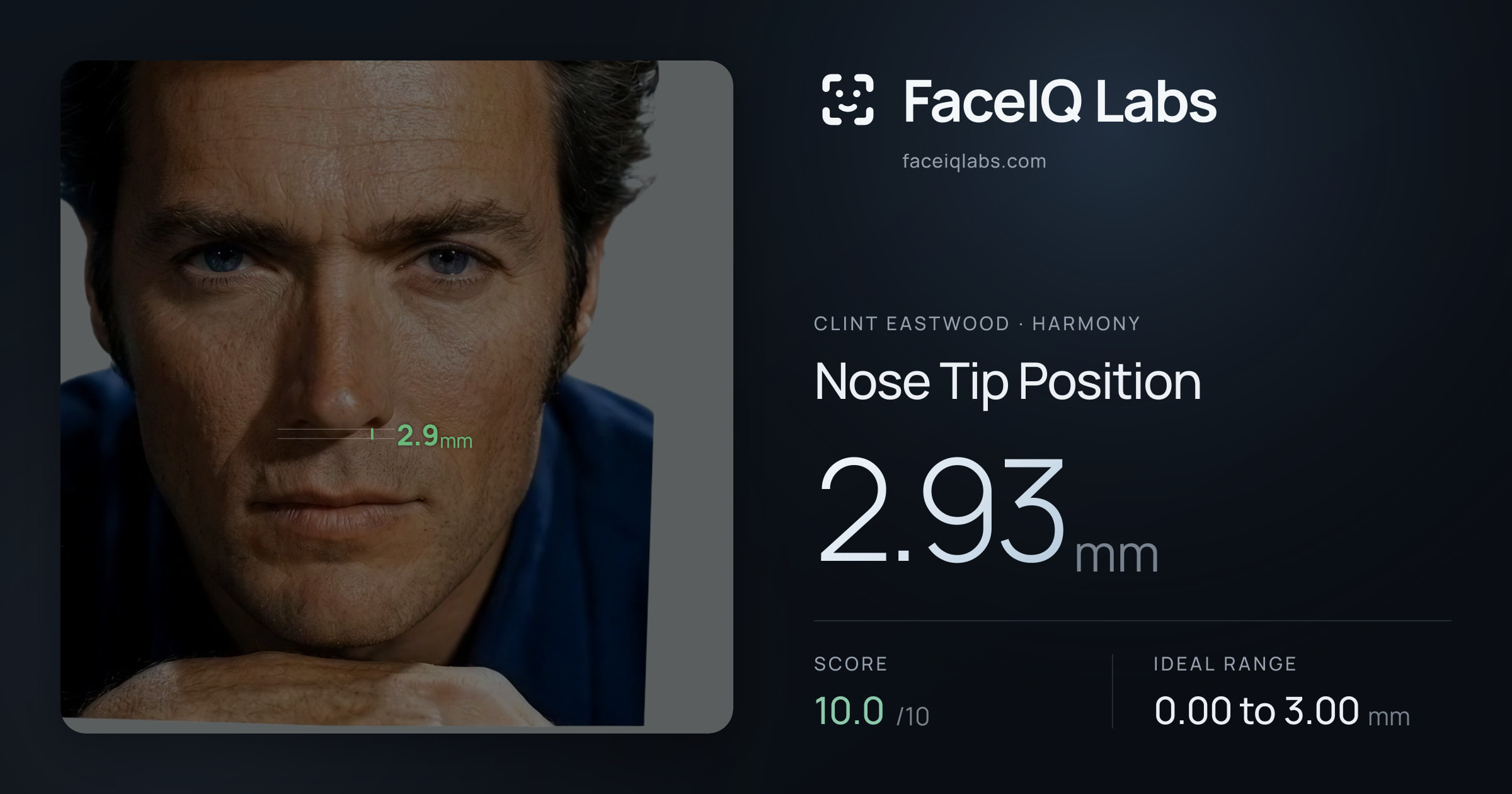 Clint Eastwood Nose Tip Position: 2.93mm, drawn on the photo