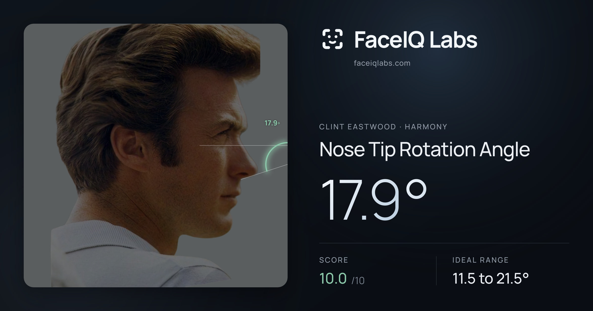 Clint Eastwood Nose Tip Rotation Angle: 17.9°, drawn on the photo