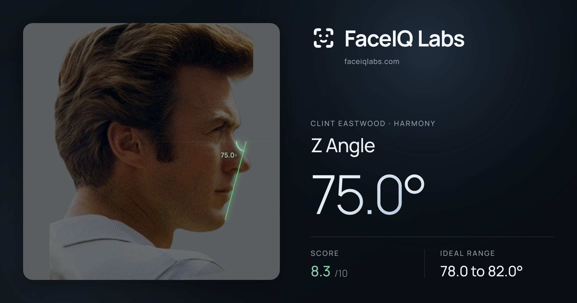 Clint Eastwood Z Angle: 75.0°, drawn on the photo