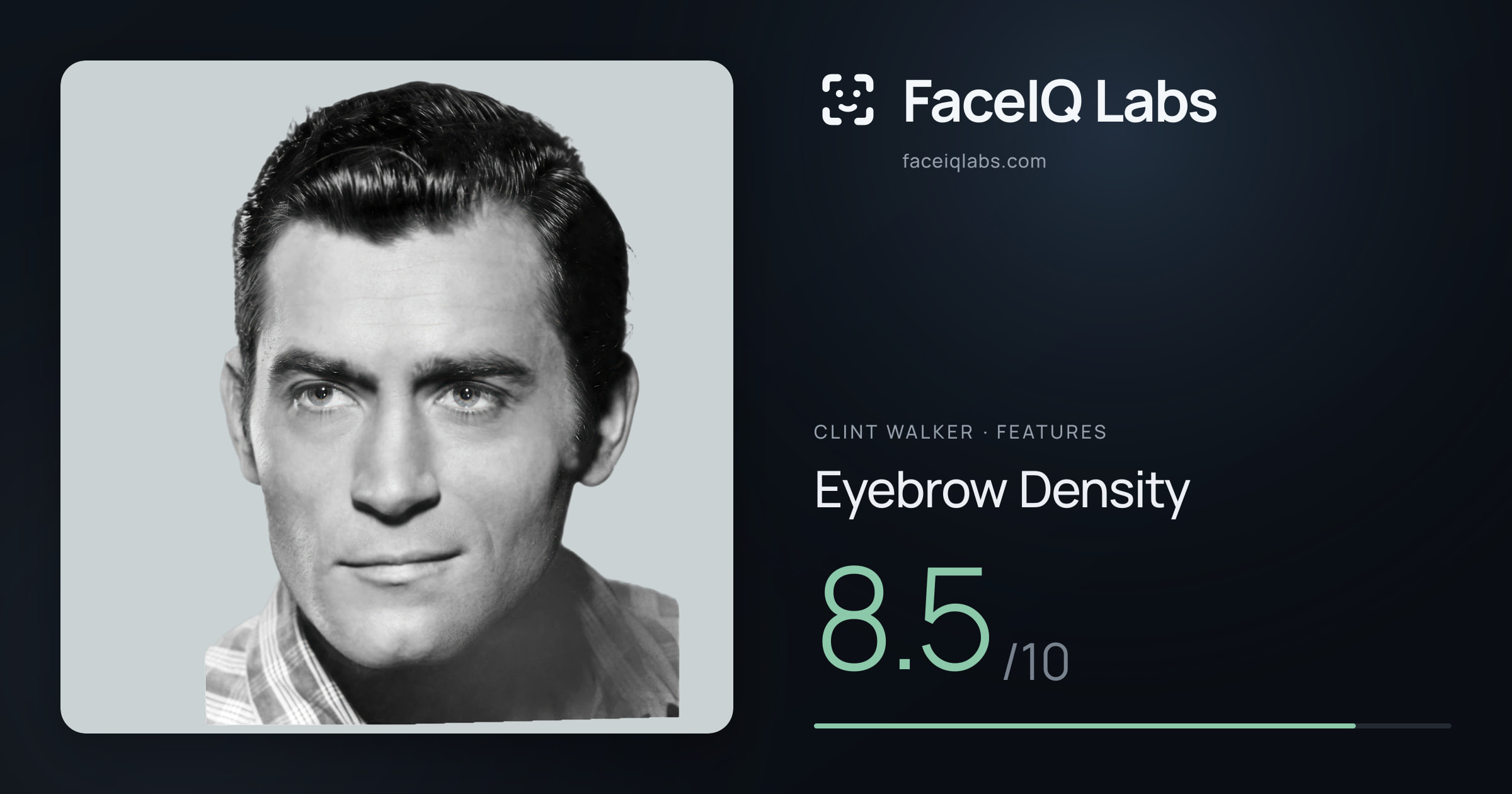 Clint Walker Eyebrow Density: 8.5/10, drawn on the photo
