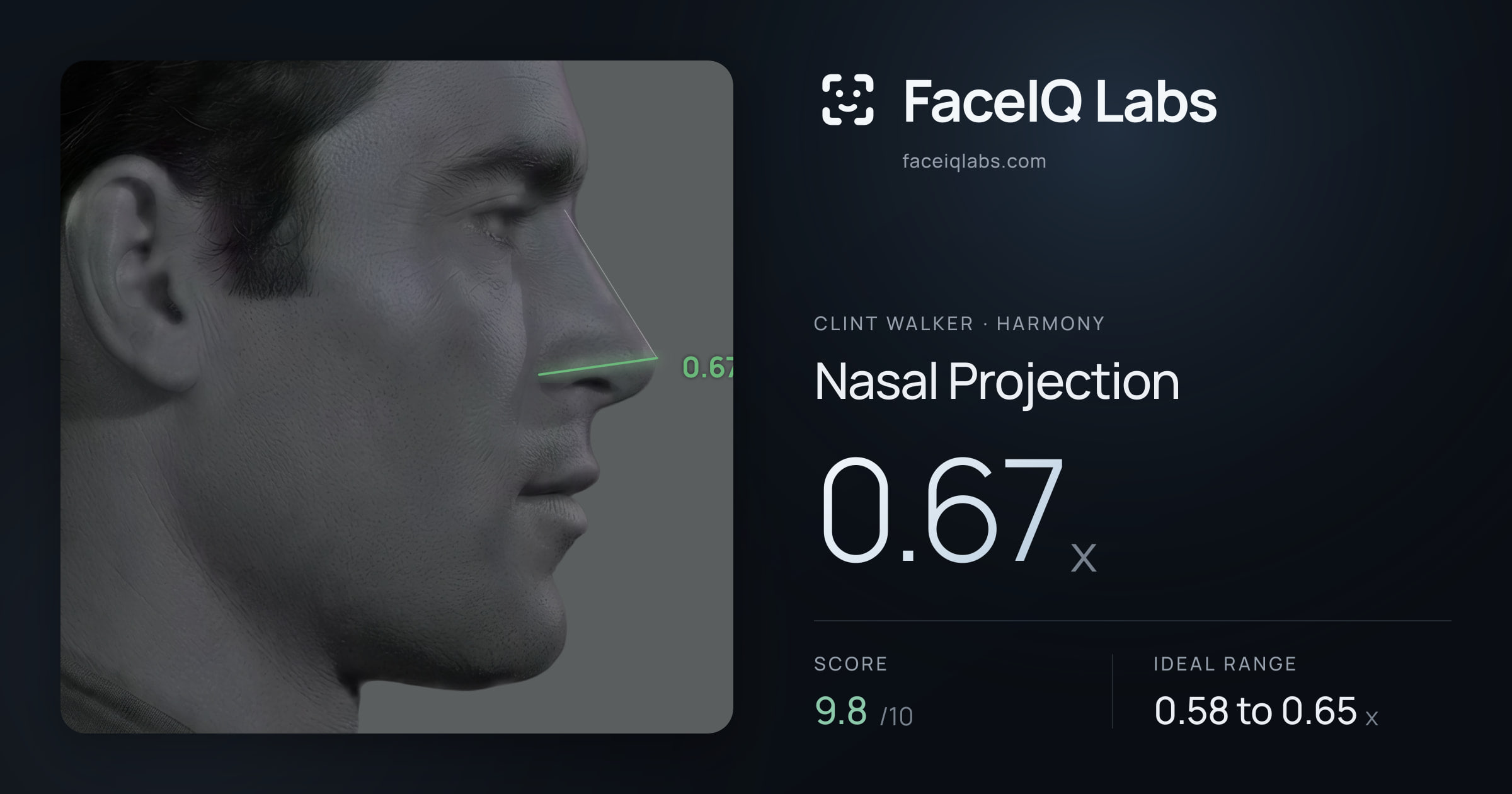 Clint Walker Nasal Projection: 0.67x, drawn on the photo