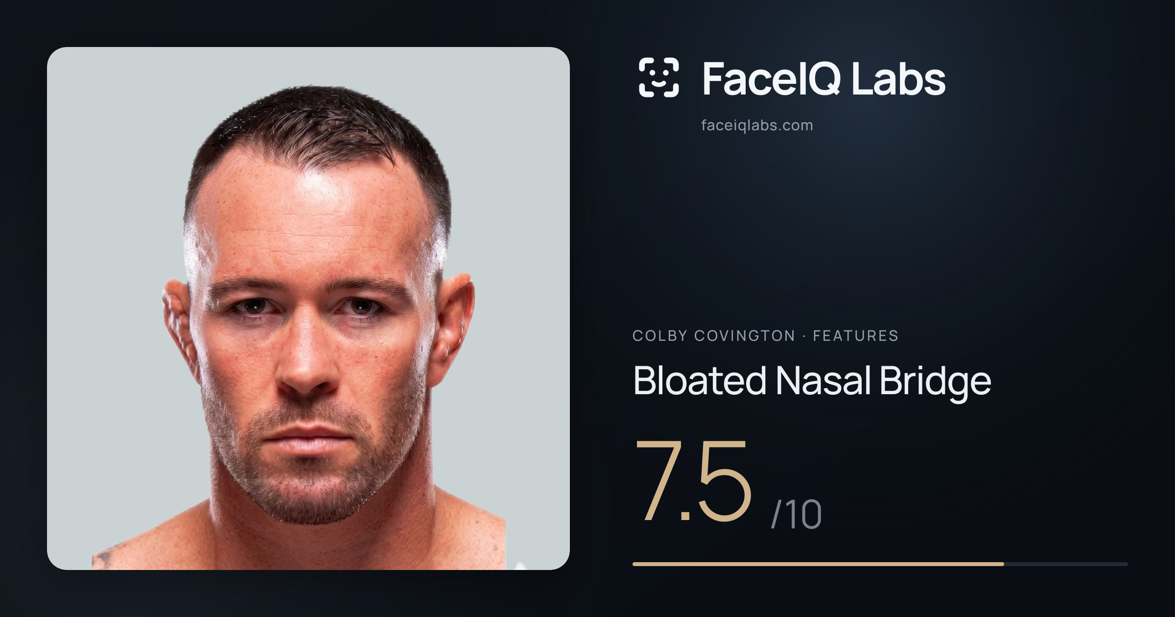 Colby Covington Bloated Nasal Bridge: 7.5/10, drawn on the photo