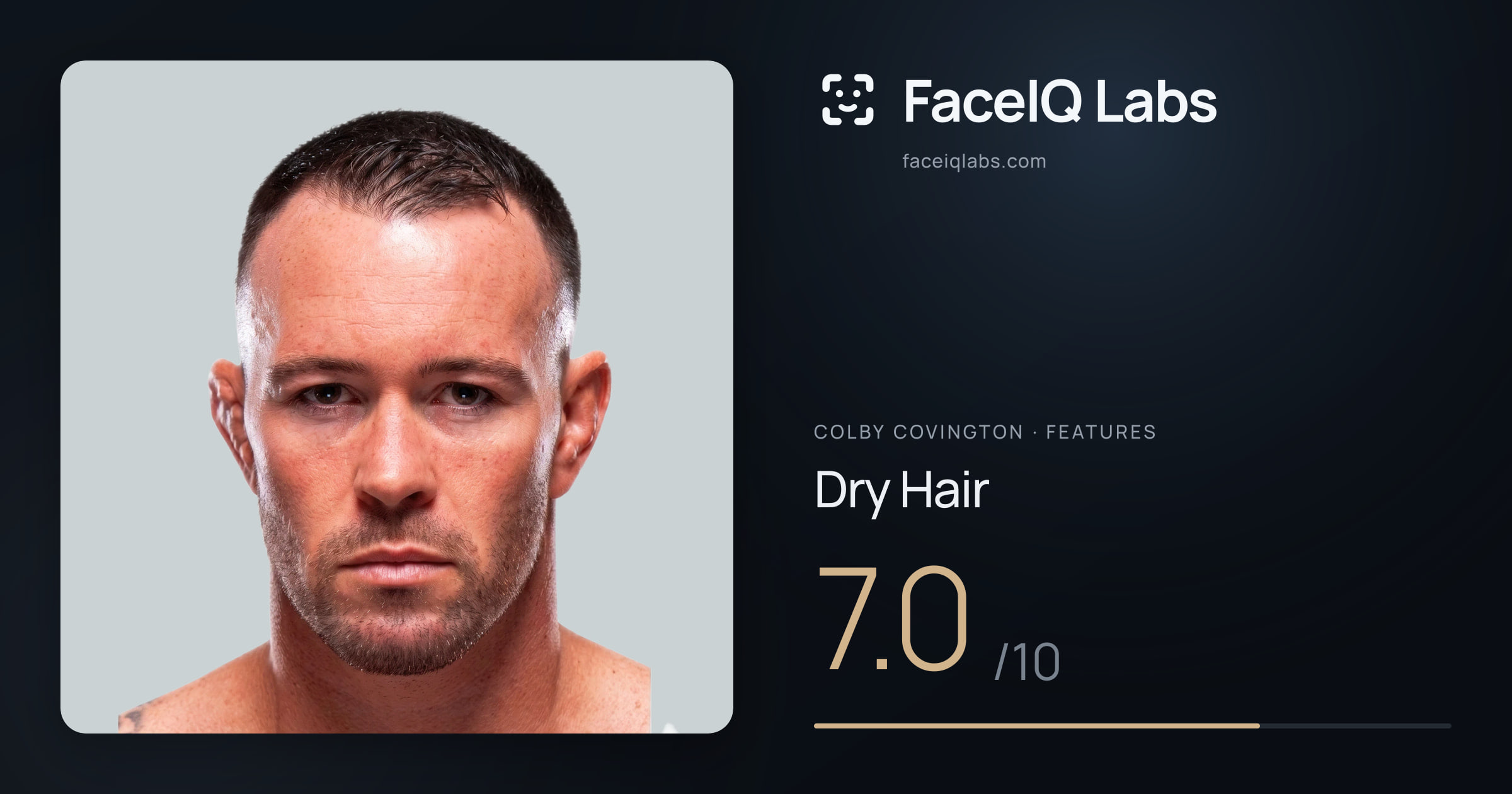 Colby Covington Dry Hair: 7.0/10, drawn on the photo