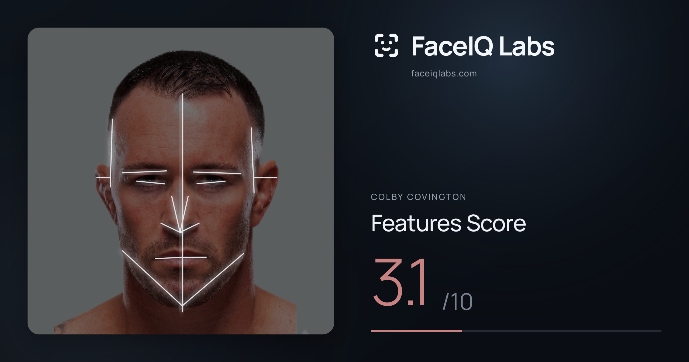 Colby Covington Features: 3.1/10, with each assessment drawn on the photo