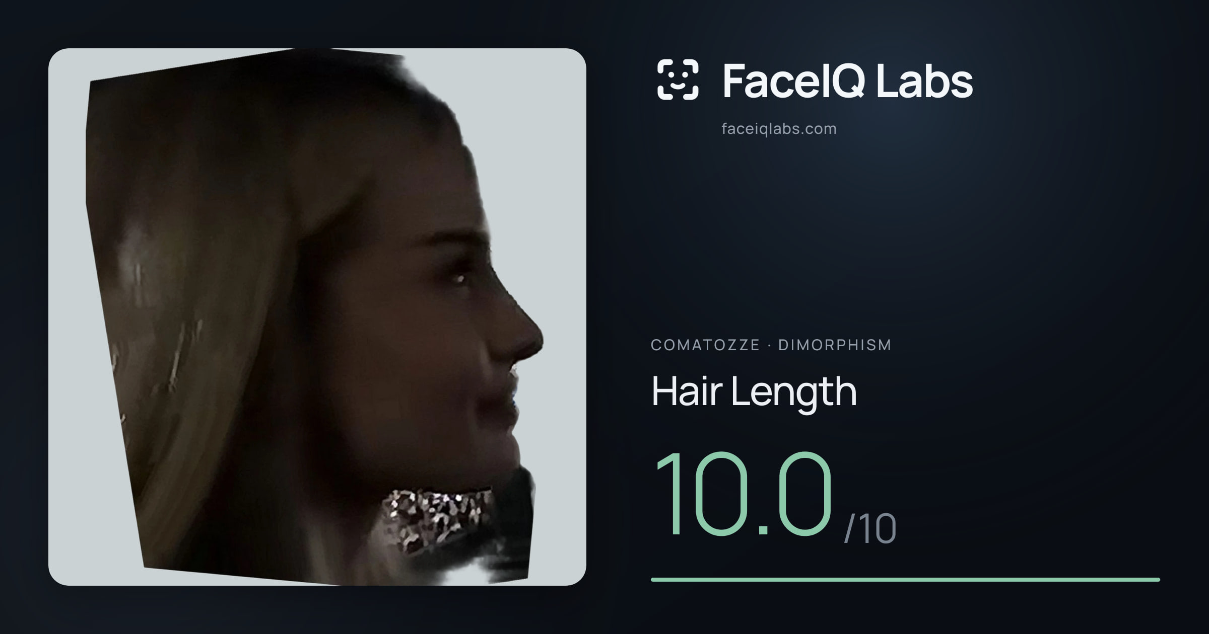 Comatozze Hair Length: 10.0/10, drawn on the photo