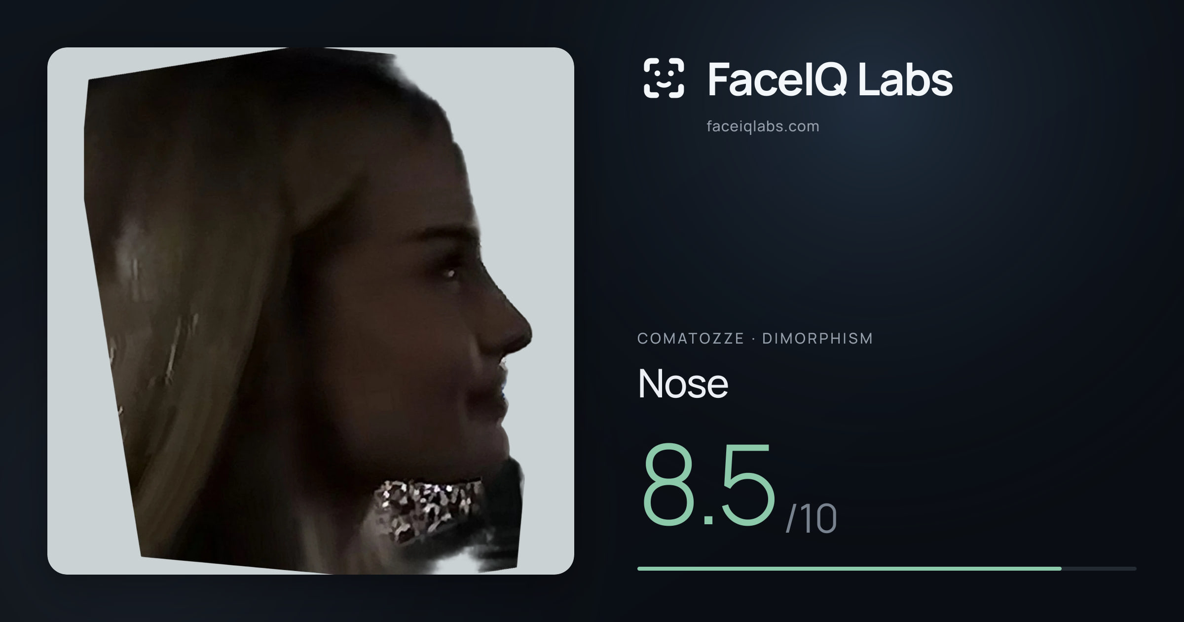 comatozze Nose: 8.5/10, drawn on the photo