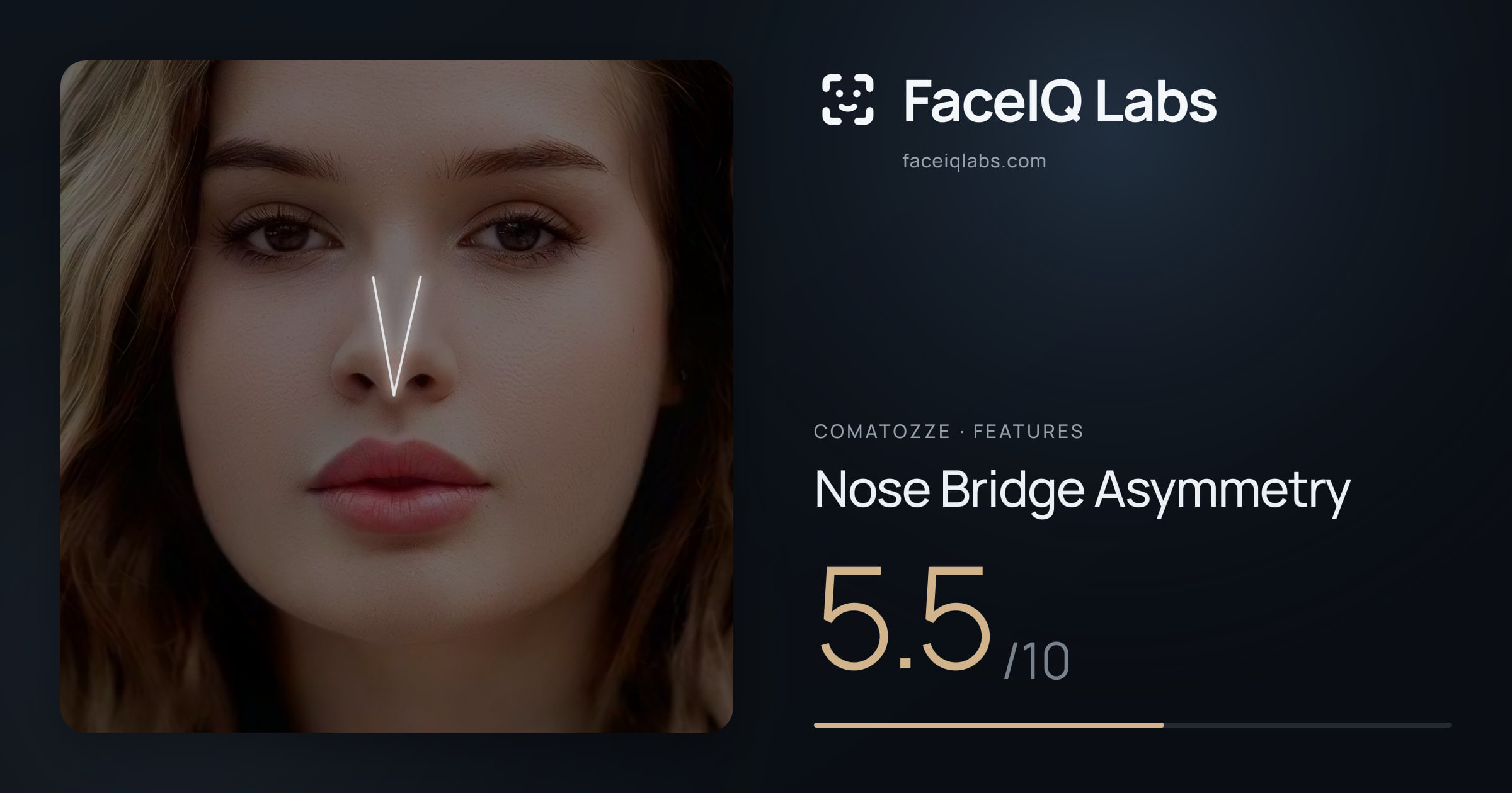 comatozze Nose Bridge Asymmetry: 5.5/10, drawn on the photo