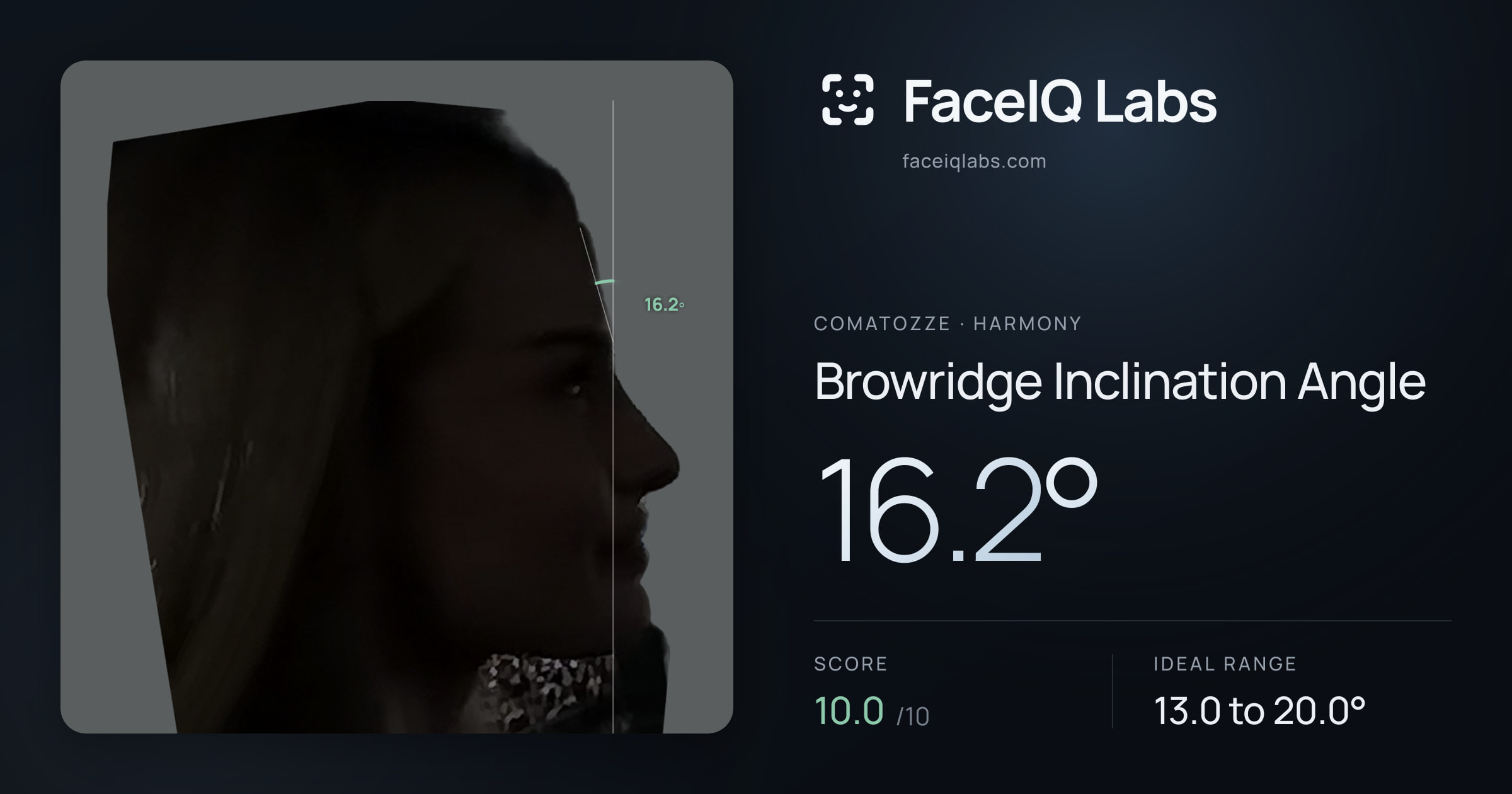 comatozze Browridge Inclination Angle: 16.2°, drawn on the photo