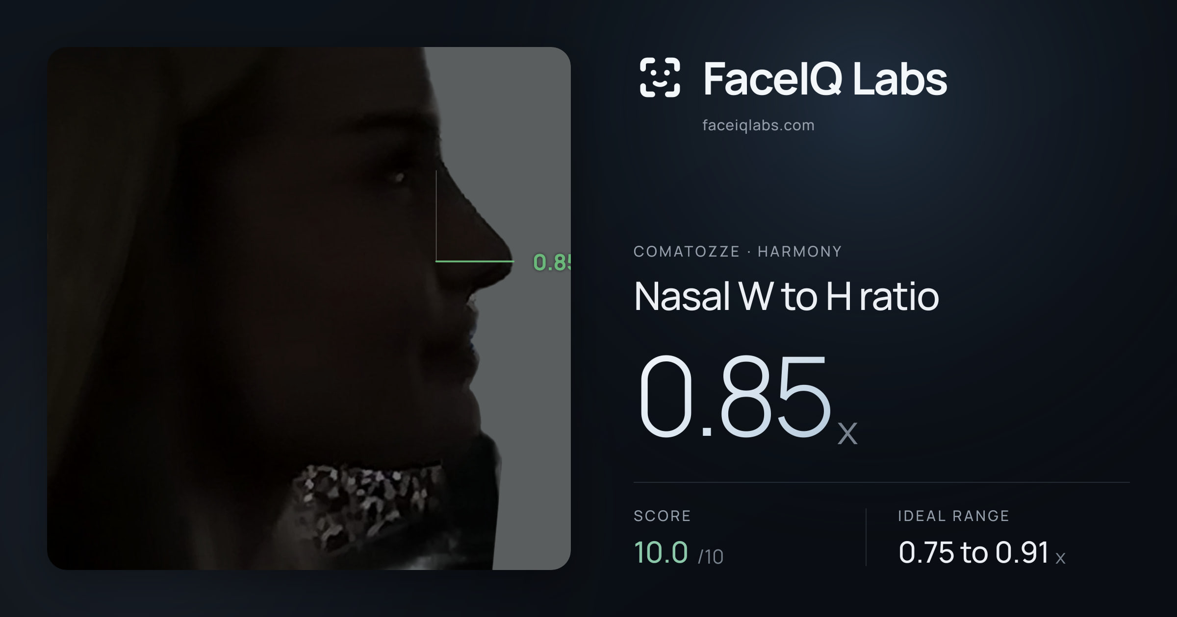 comatozze Nasal W to H ratio: 0.85x, drawn on the photo