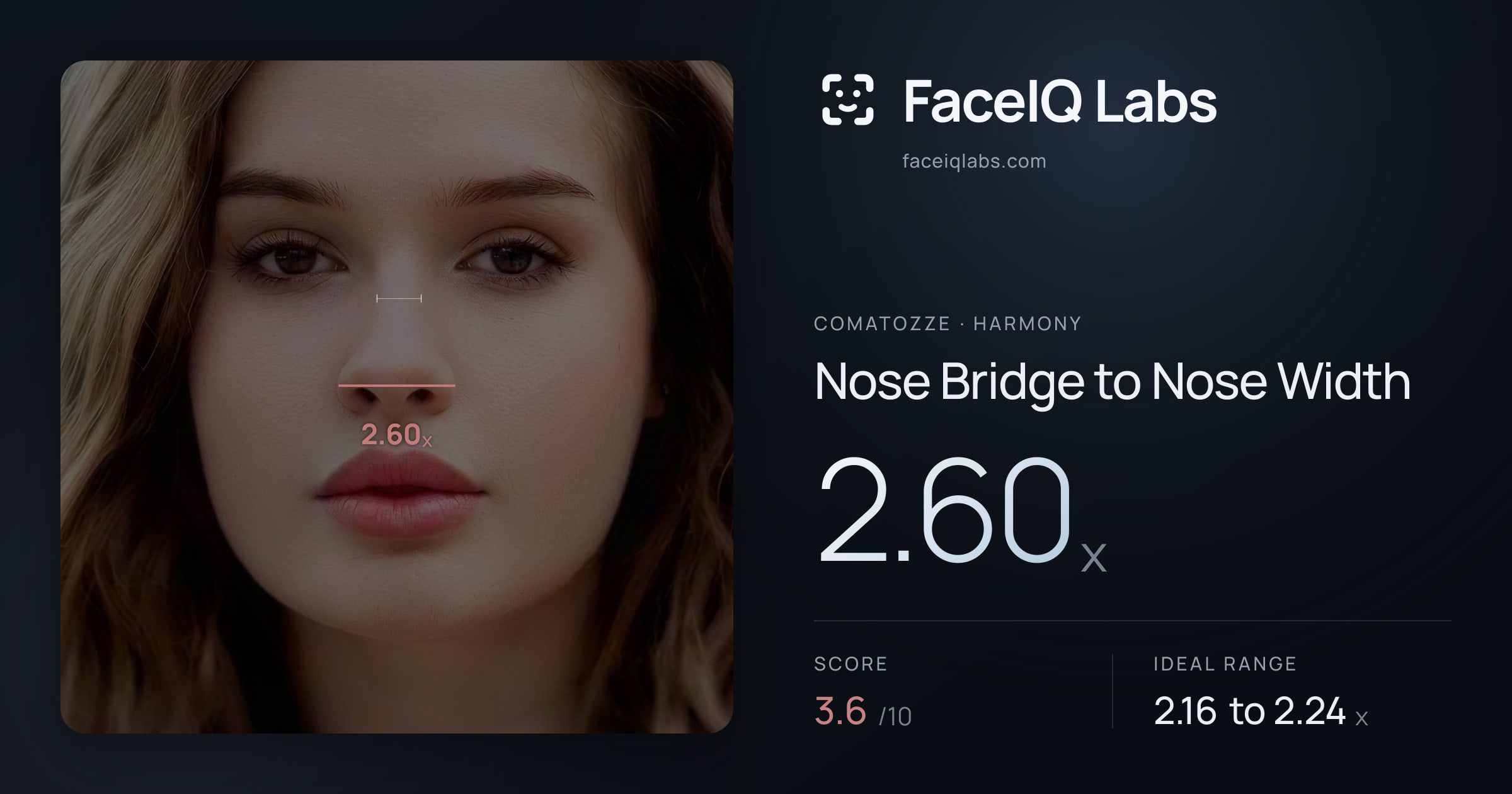 comatozze Nose Bridge to Nose Width: 2.60x, drawn on the photo