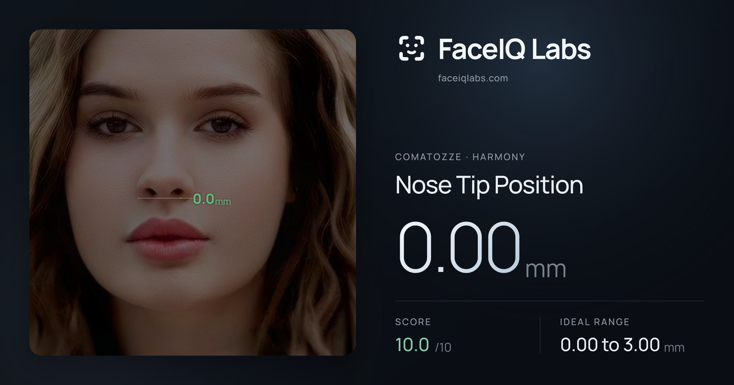Comatozze Nose Tip Position: 0.00mm, drawn on the photo