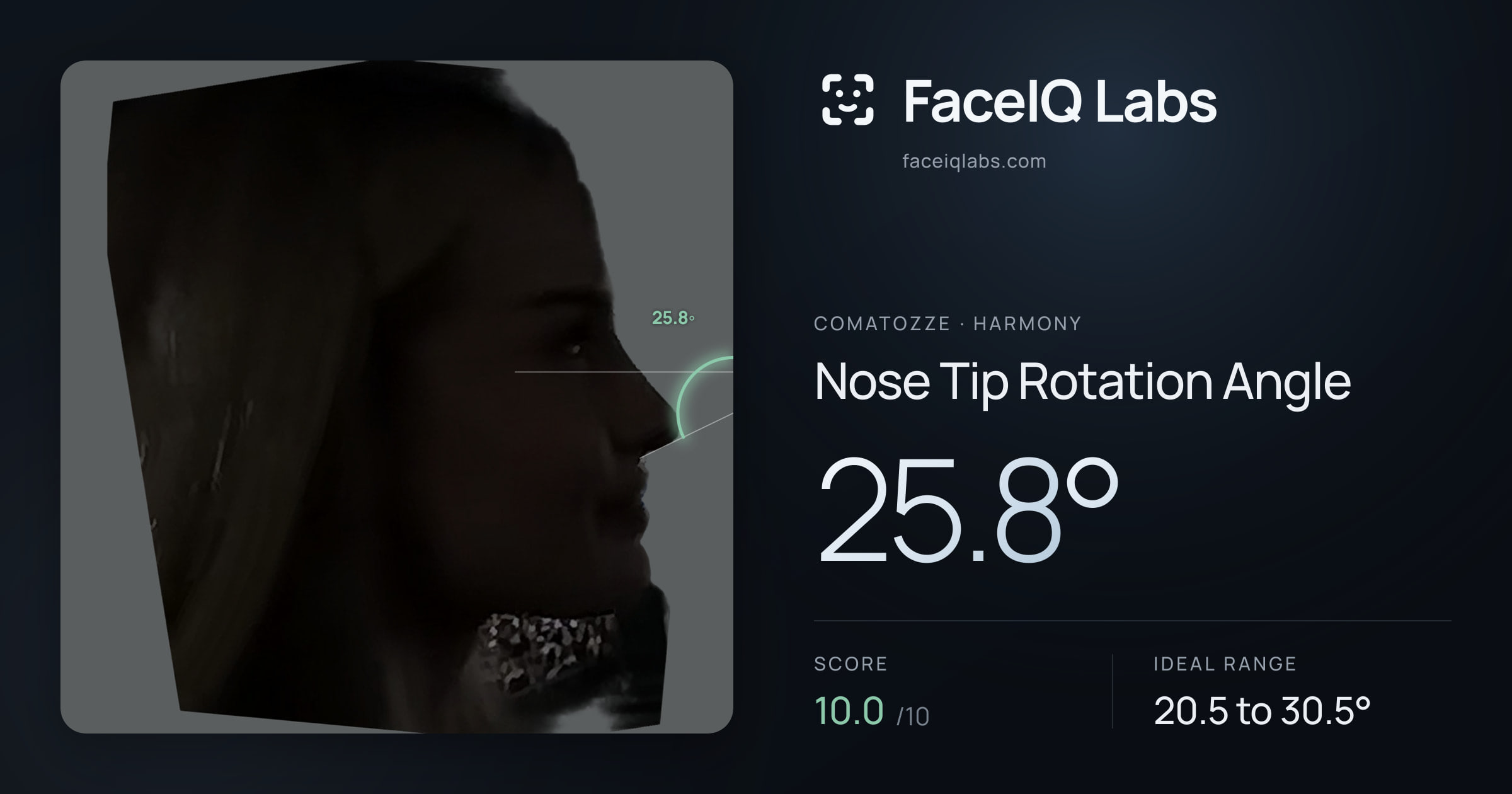Comatozze Nose Tip Rotation Angle: 25.8°, drawn on the photo