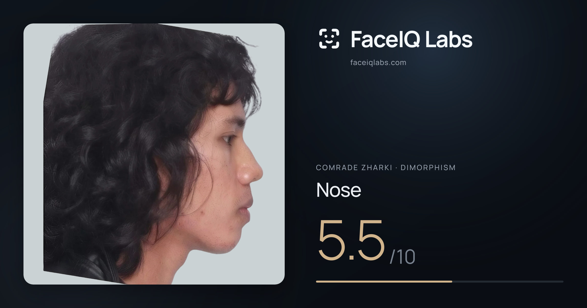 Comrade Zharki Nose: 5.5/10, drawn on the photo