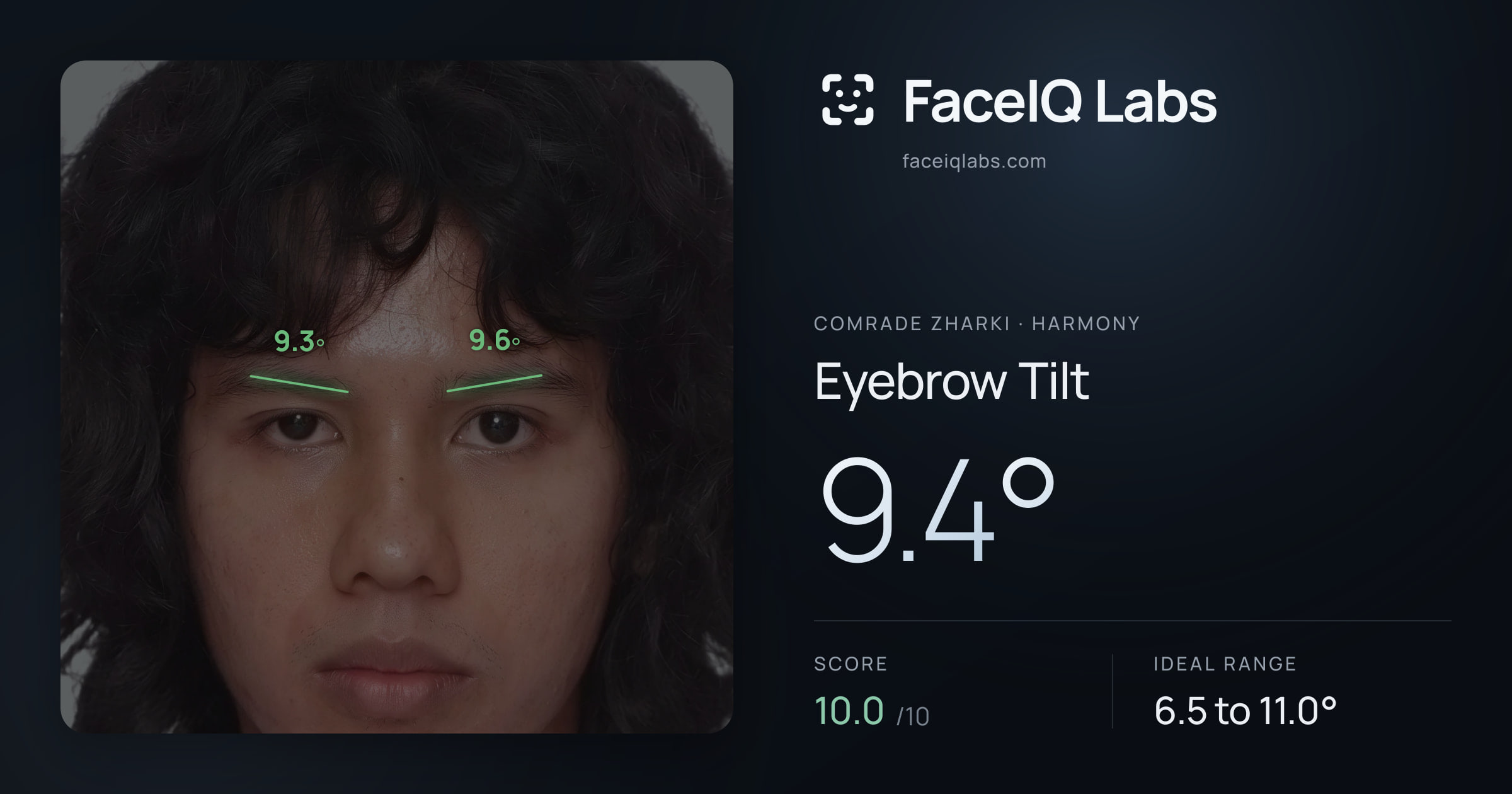 Comrade Zharki Eyebrow Tilt: 9.4°, drawn on the photo