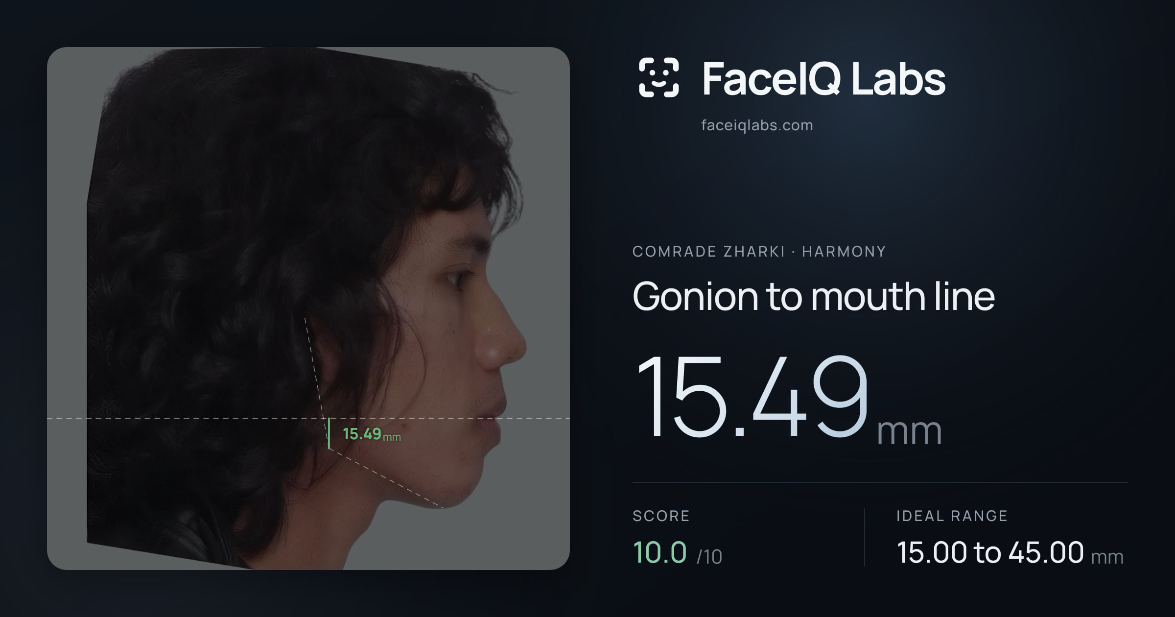 Comrade Zharki Gonion to mouth line: 15.49mm, drawn on the photo
