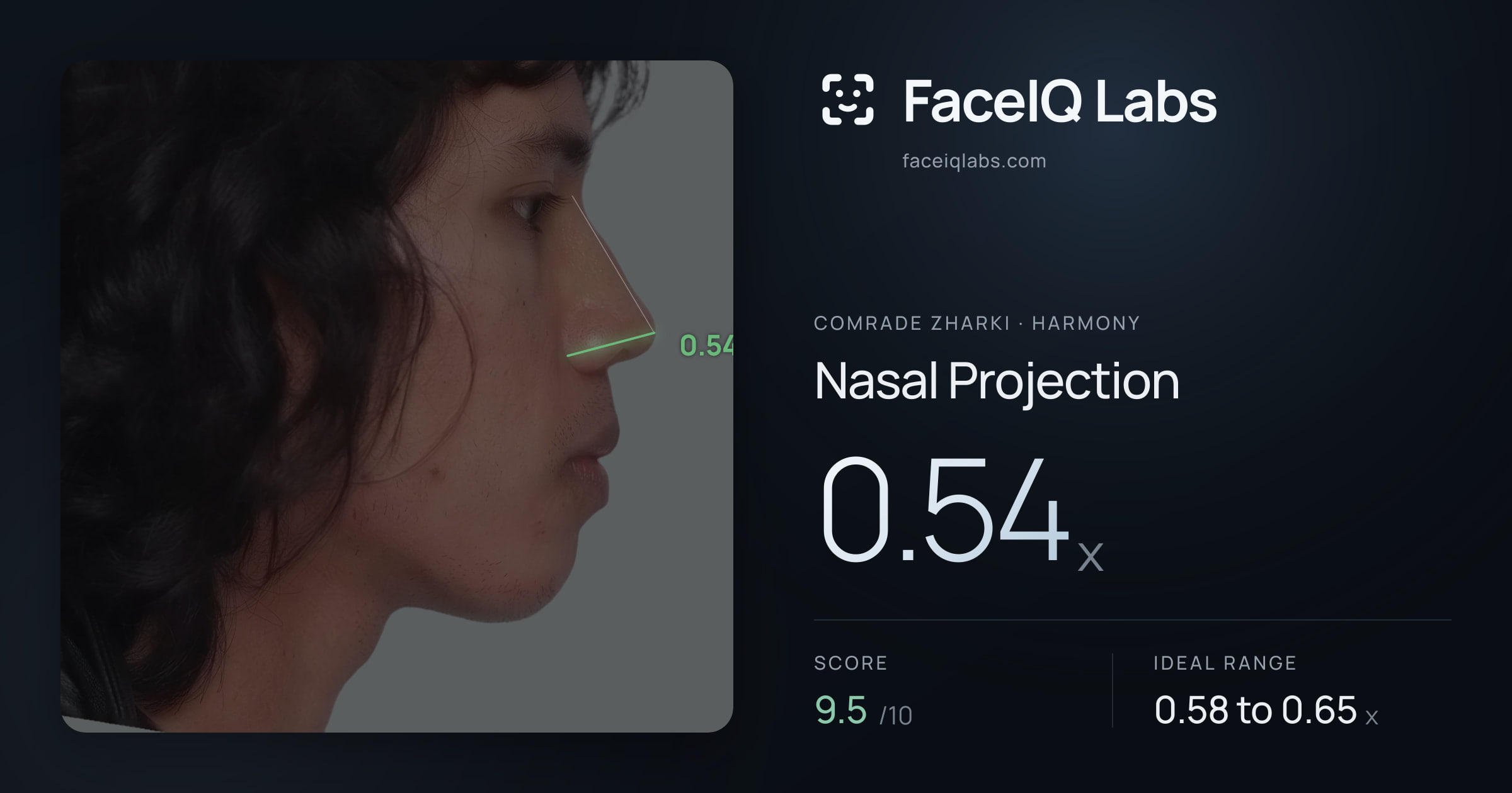 Comrade Zharki Nasal Projection: 0.54x, drawn on the photo