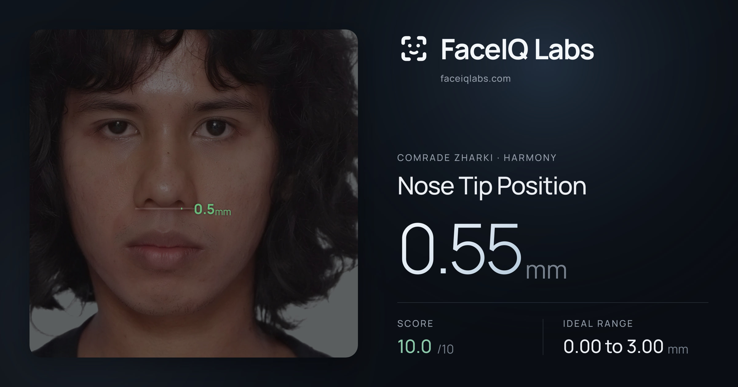 Comrade Zharki Nose Tip Position: 0.55mm, drawn on the photo