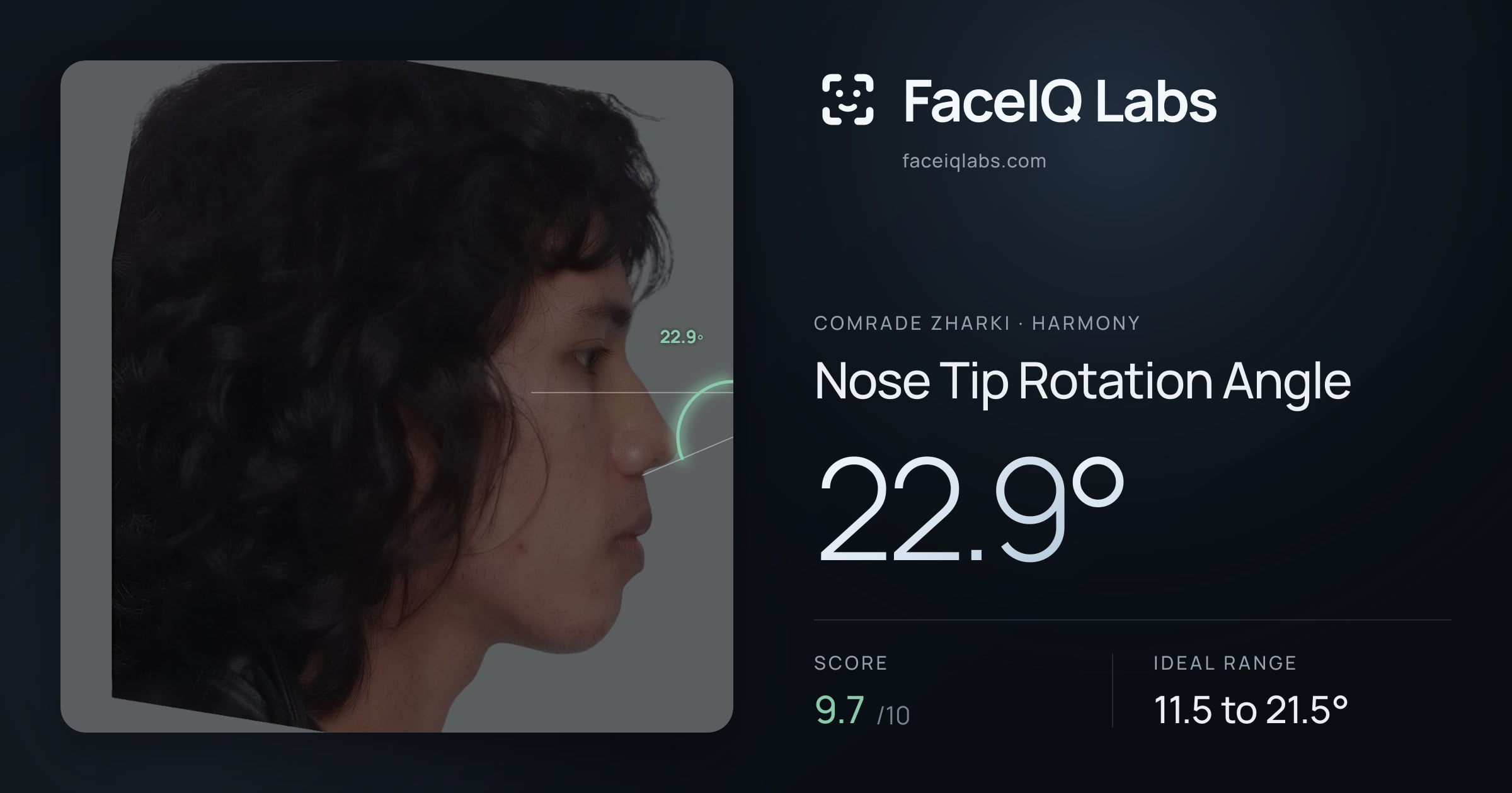 Comrade Zharki Nose Tip Rotation Angle: 22.9°, drawn on the photo