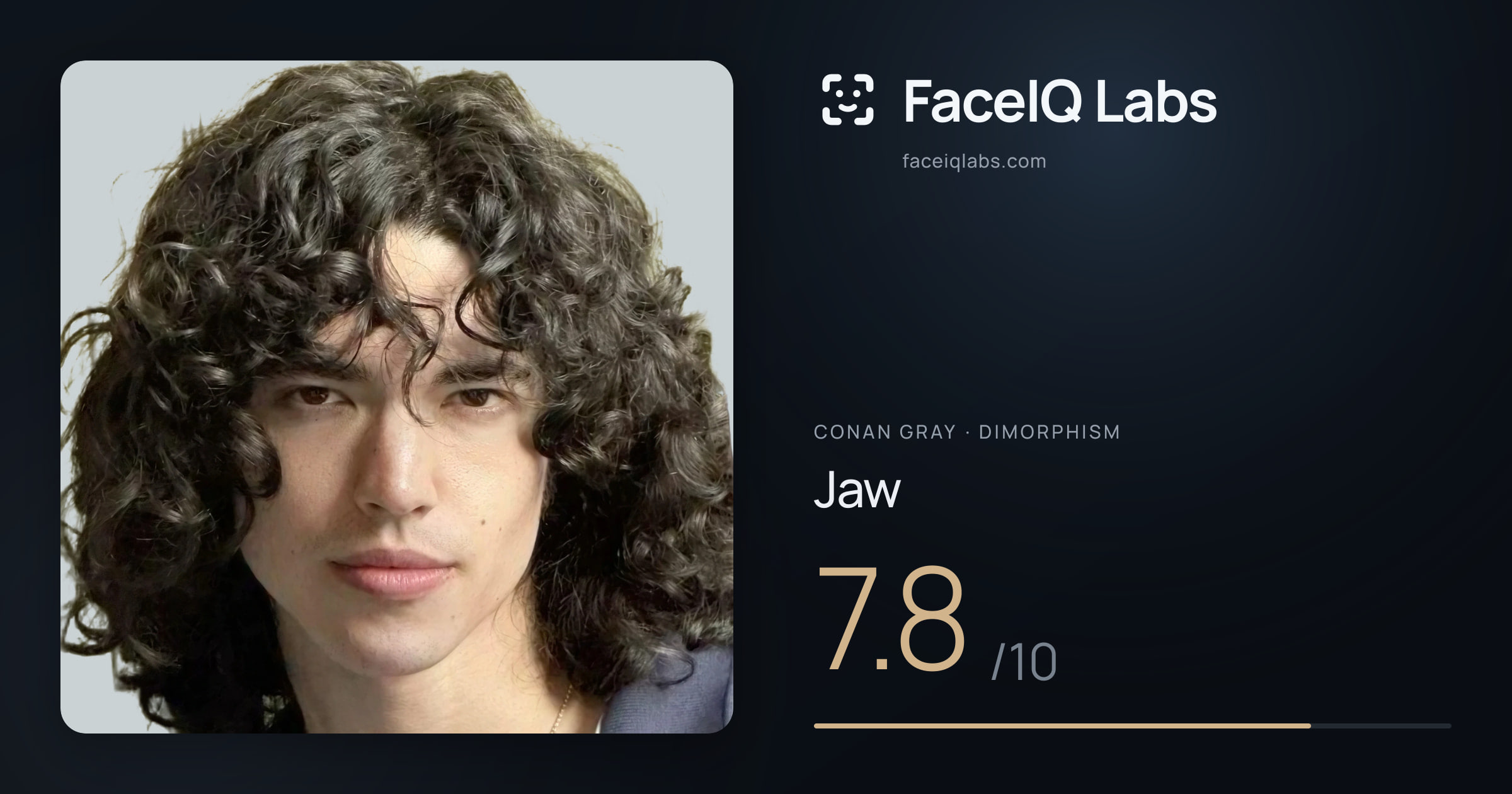 Conan Gray Jaw: 7.8/10, drawn on the photo