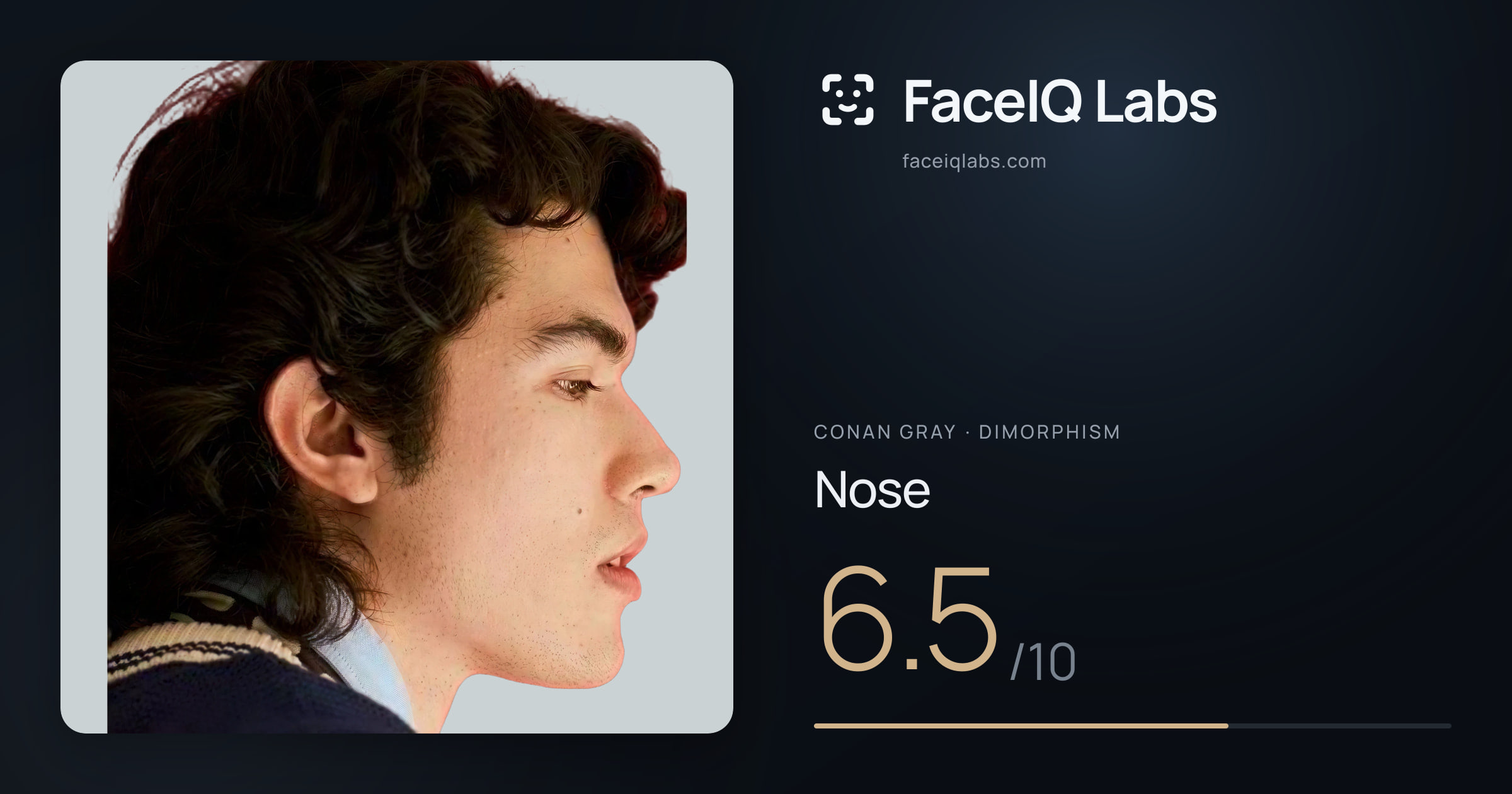 Conan Gray Nose: 6.5/10, drawn on the photo