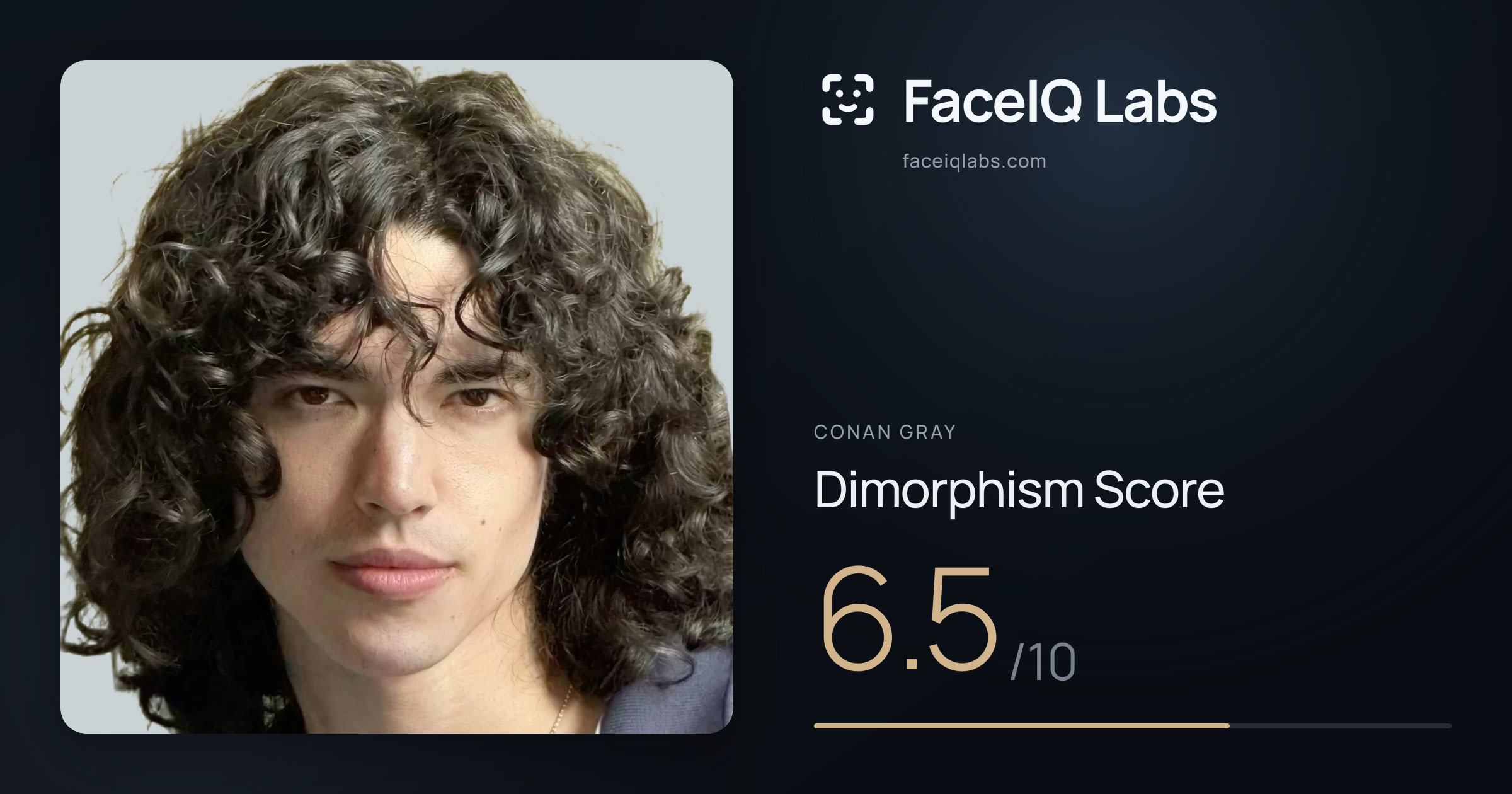 Conan Gray Dimorphism: 6.5/10, with each assessment drawn on the photo