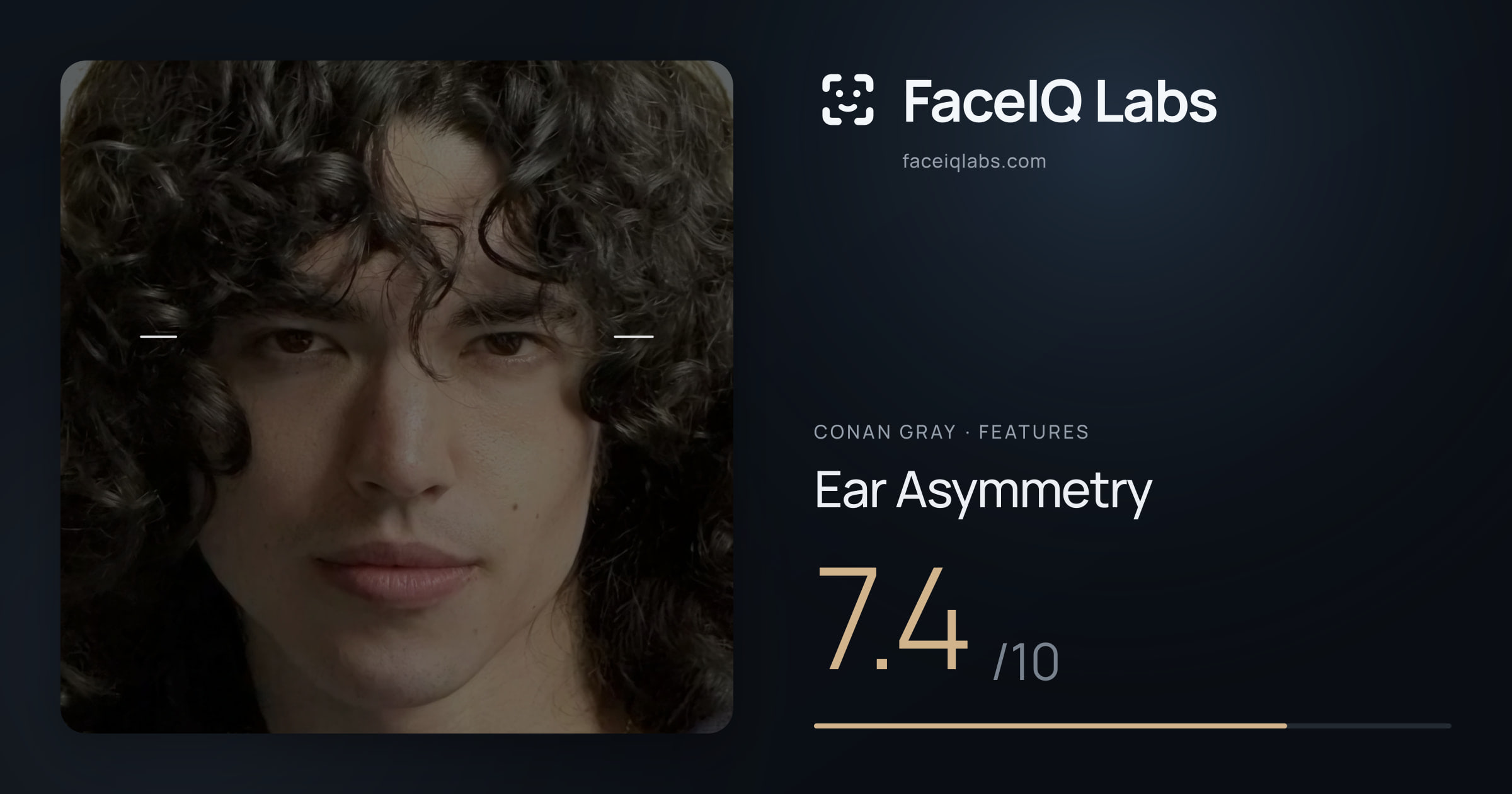 Conan Gray Ear Asymmetry: 7.4/10, drawn on the photo