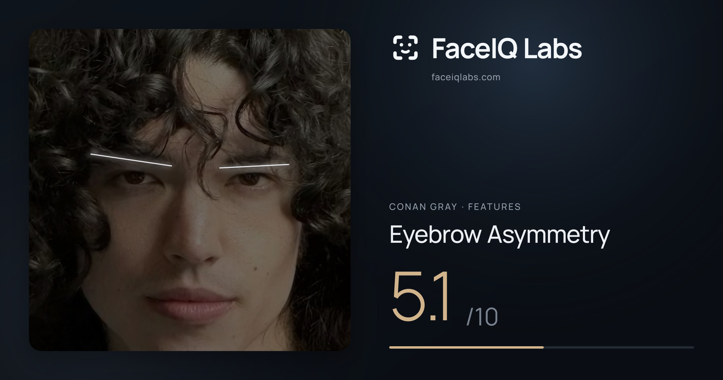 Conan Gray Eyebrow Asymmetry: 5.1/10, drawn on the photo
