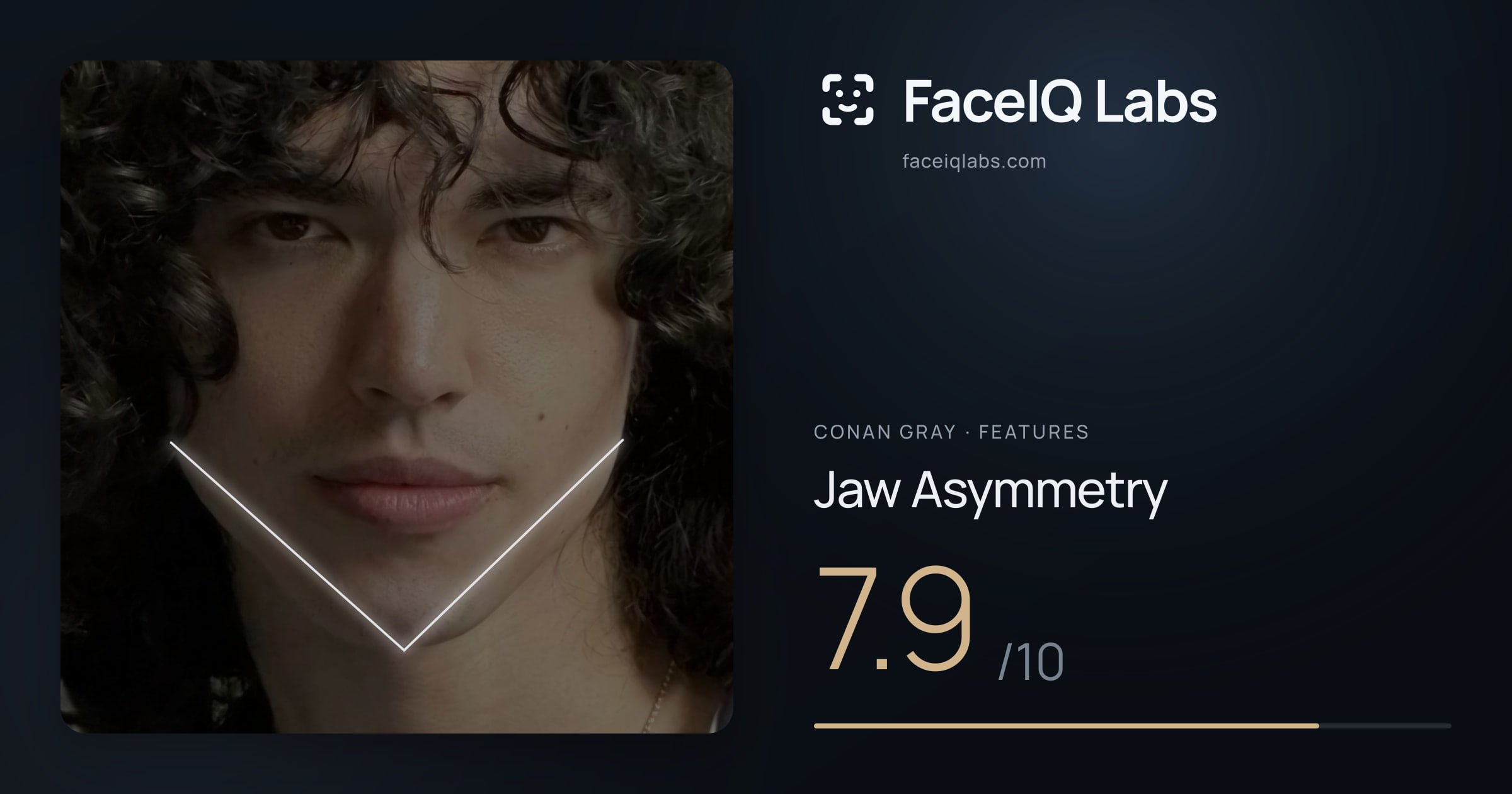 Conan Gray Jaw Asymmetry: 7.9/10, drawn on the photo