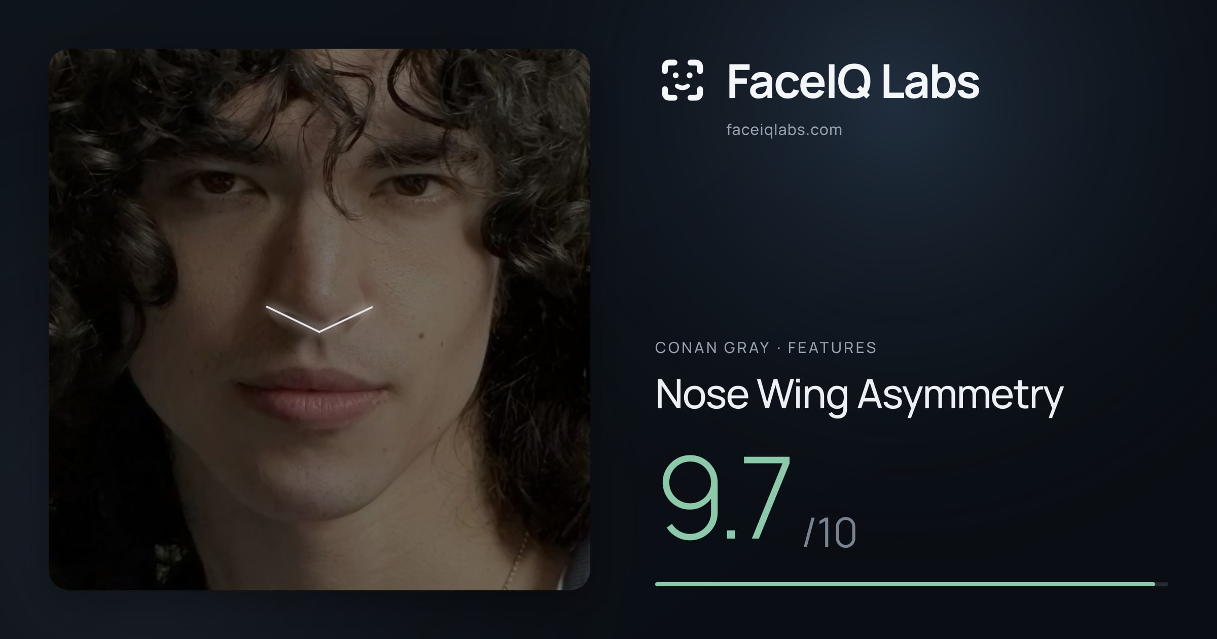Conan Gray Nose Wing Asymmetry: 9.7/10, drawn on the photo