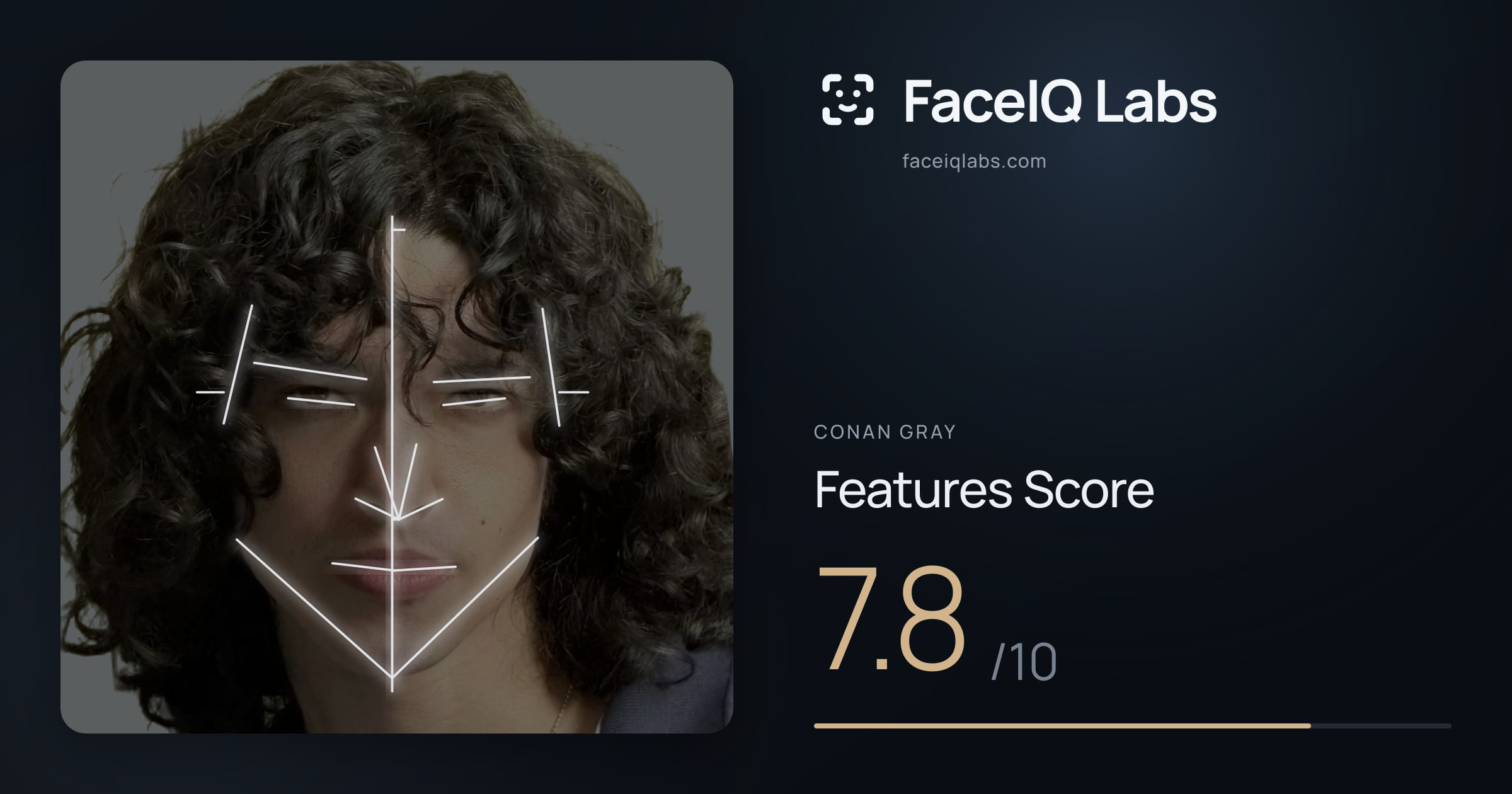 Conan Gray Features: 7.8/10, with each assessment drawn on the photo