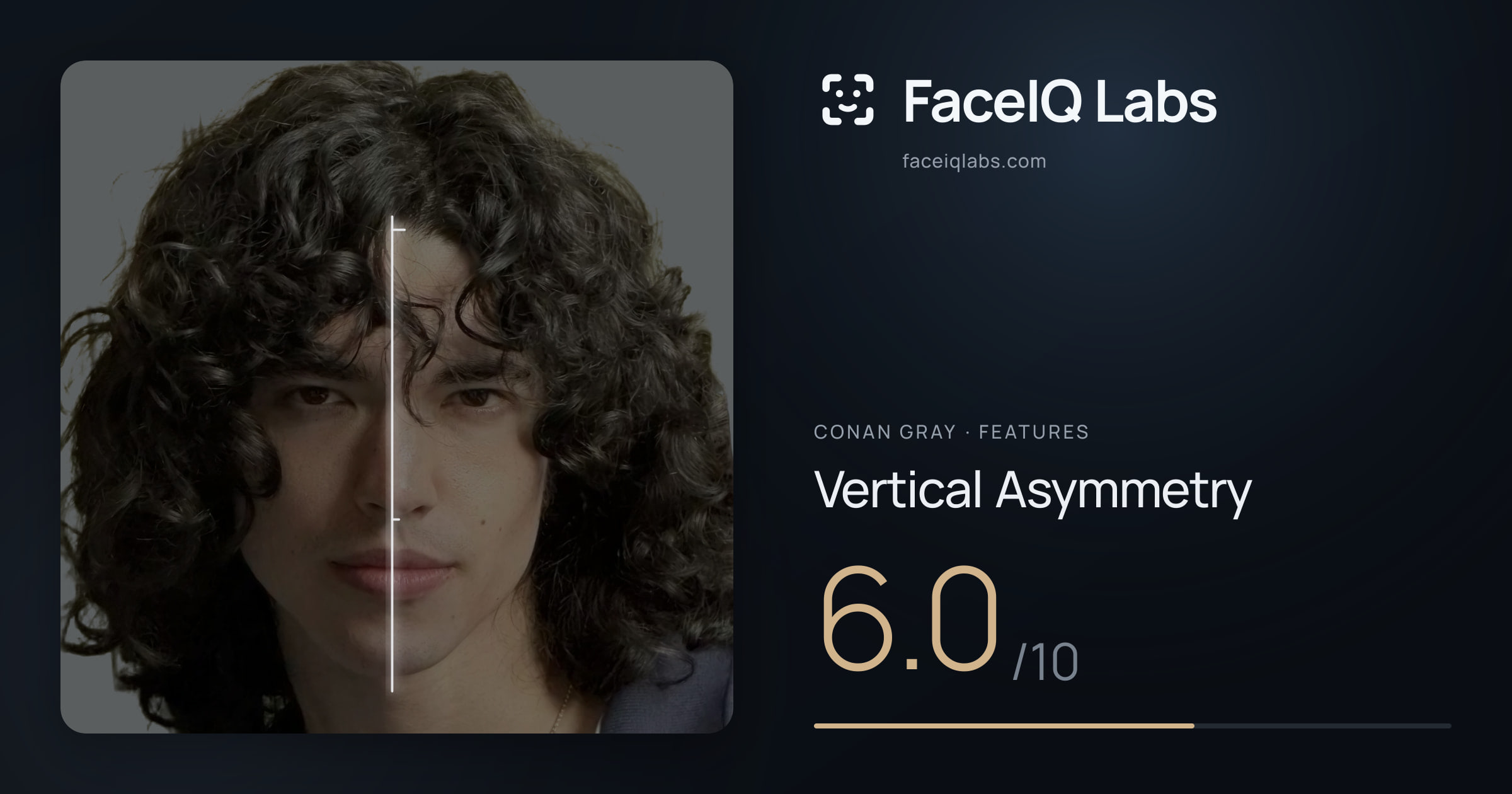 Conan Gray Vertical Asymmetry: 6.0/10, drawn on the photo