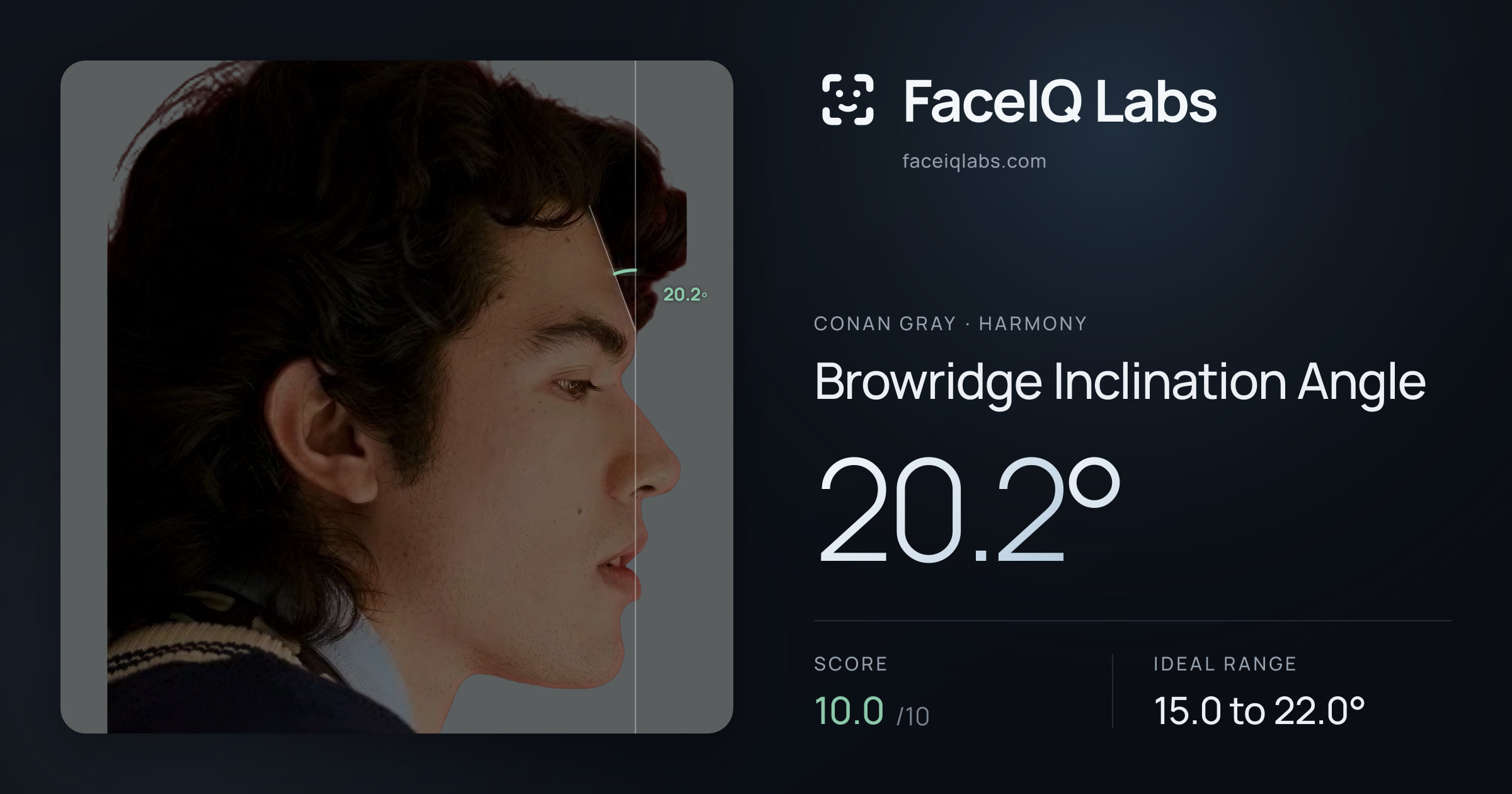 Conan Gray Browridge Inclination Angle: 20.2°, drawn on the photo