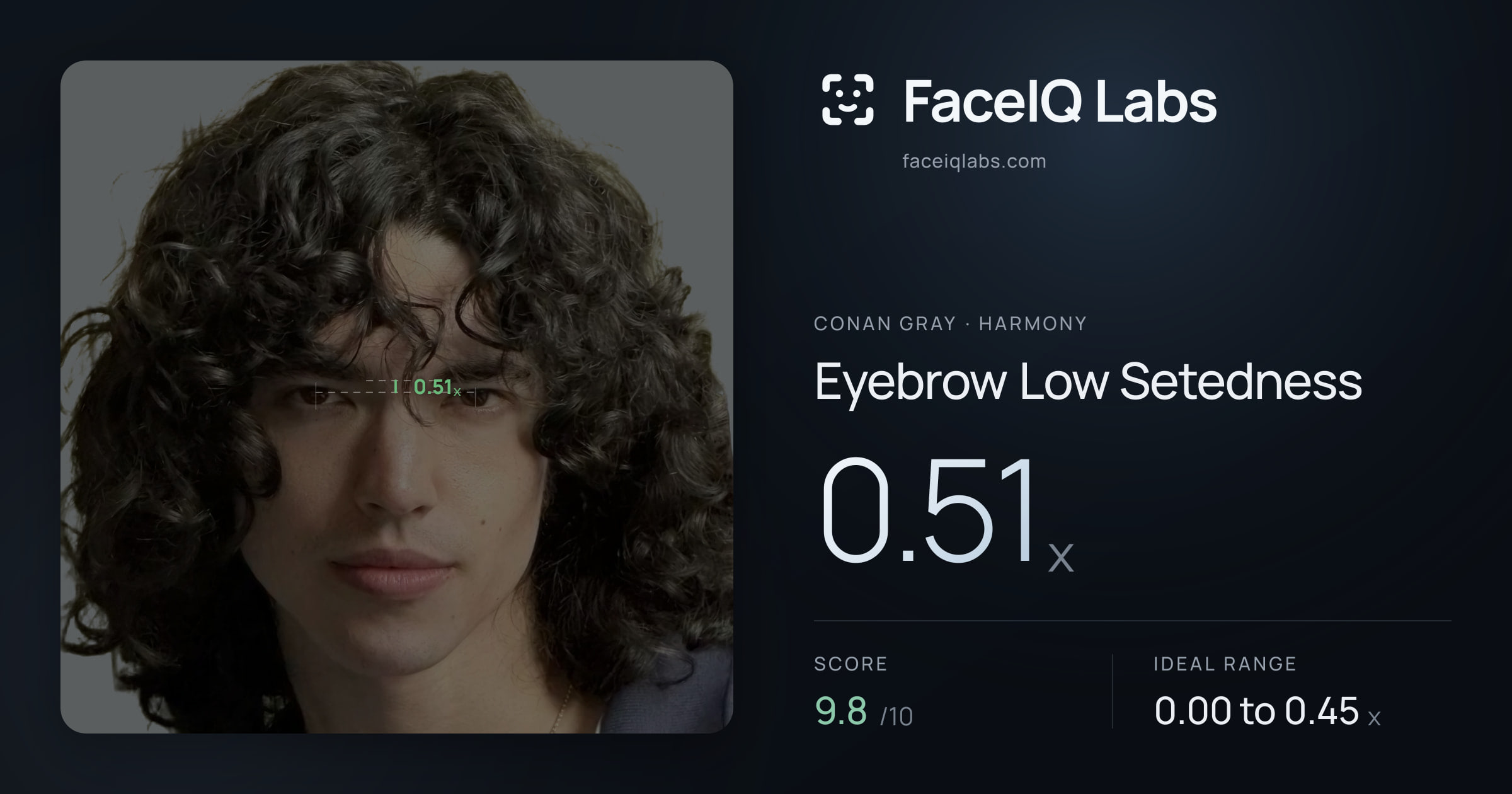 Conan Gray Eyebrow Low Setedness: 0.51x, drawn on the photo