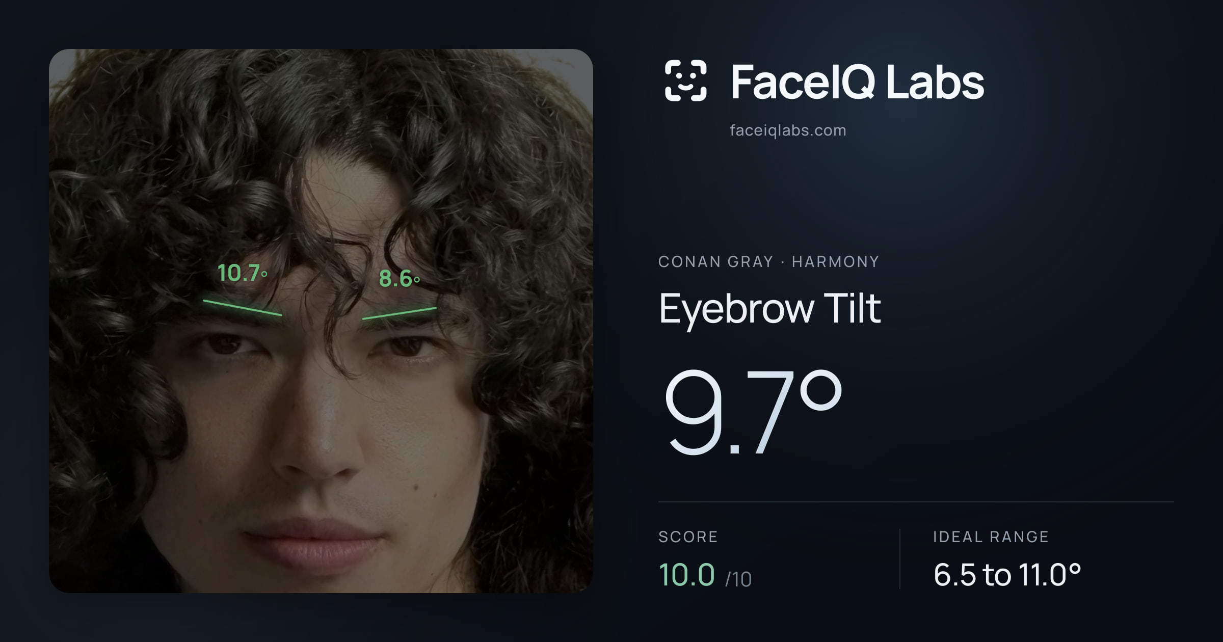 Conan Gray Eyebrow Tilt: 9.7°, drawn on the photo