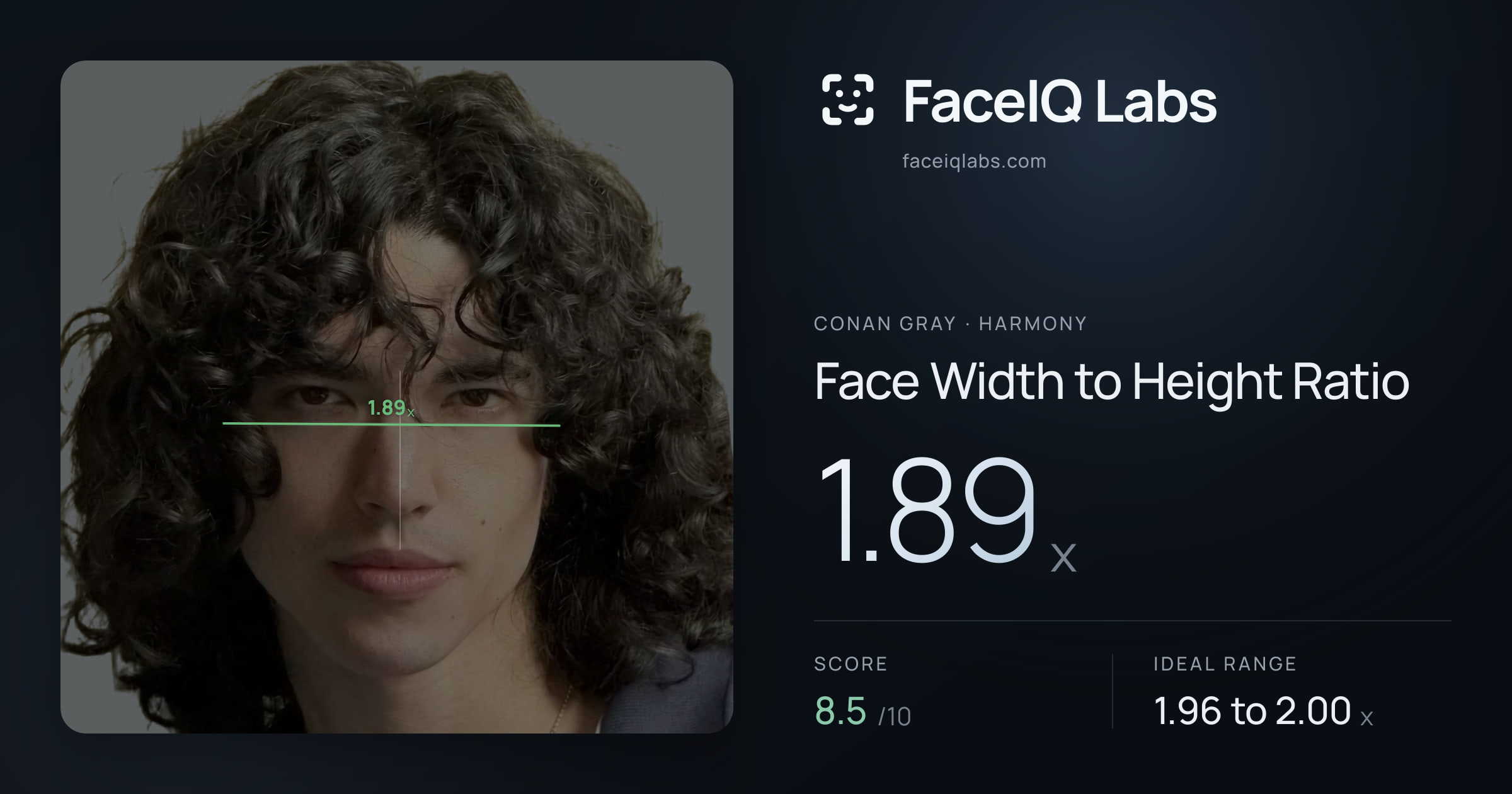 Conan Gray Face Width to Height Ratio: 1.89x, drawn on the photo