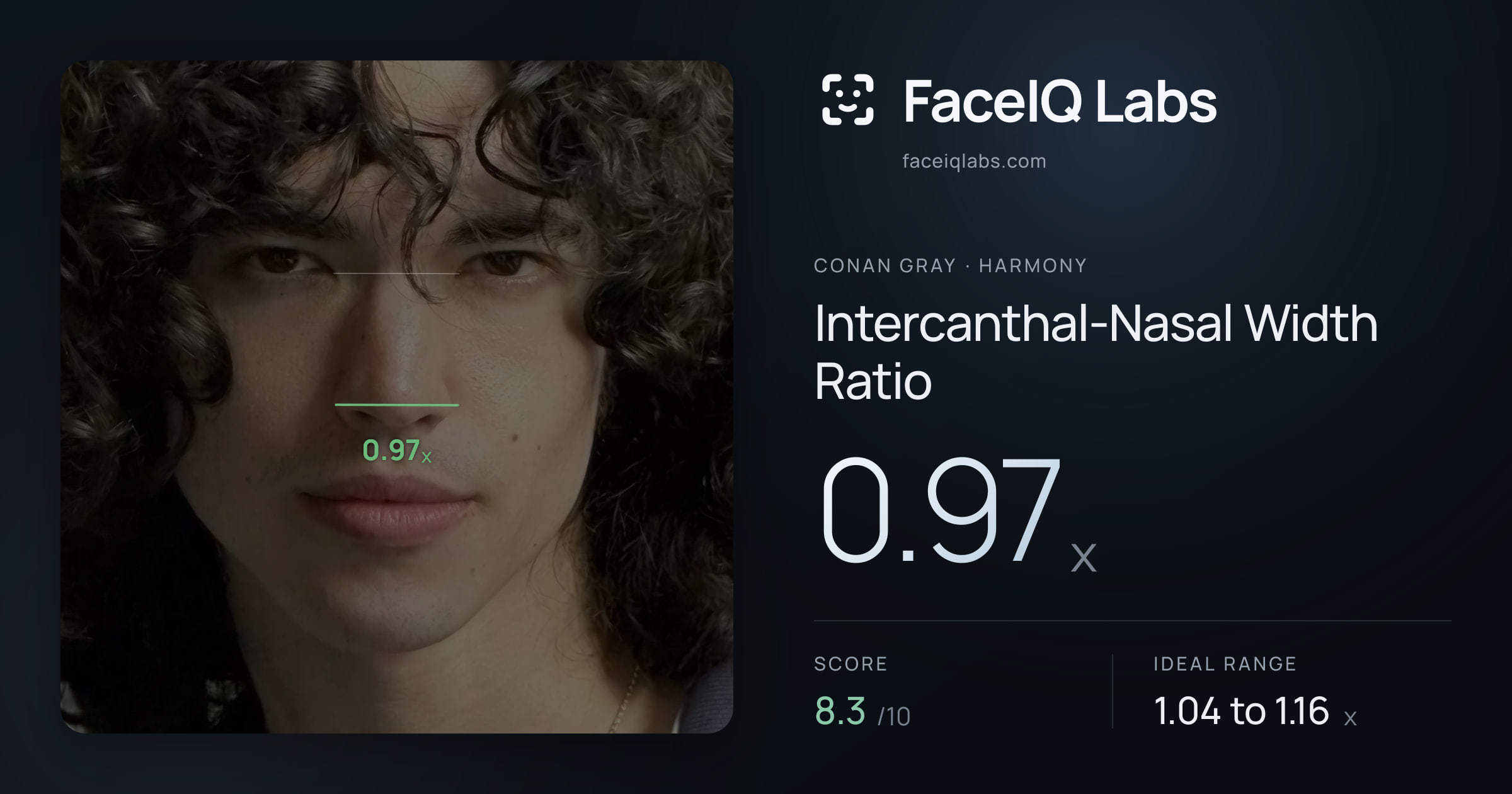 Conan Gray Intercanthal-Nasal Width Ratio: 0.97x, drawn on the photo
