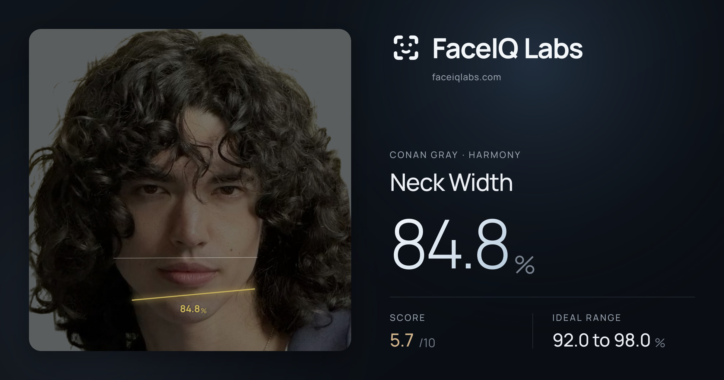 Conan Gray Neck Width: 84.8%, drawn on the photo