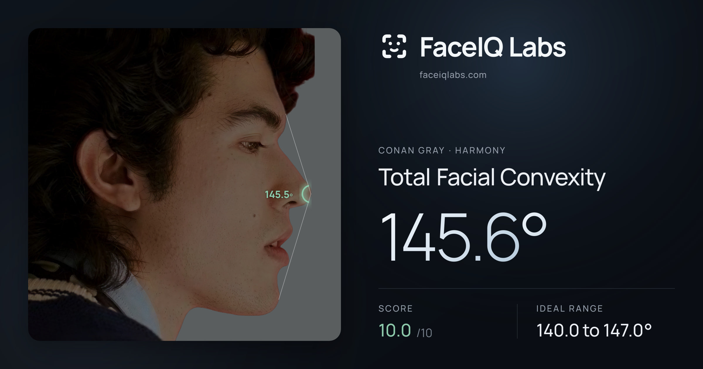 Conan Gray Total Facial Convexity: 145.6°, drawn on the photo