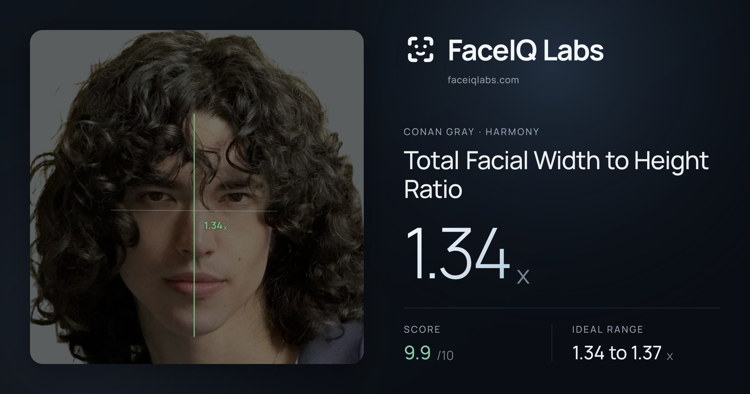 Conan Gray Total Facial Width to Height Ratio: 1.34x, drawn on the photo