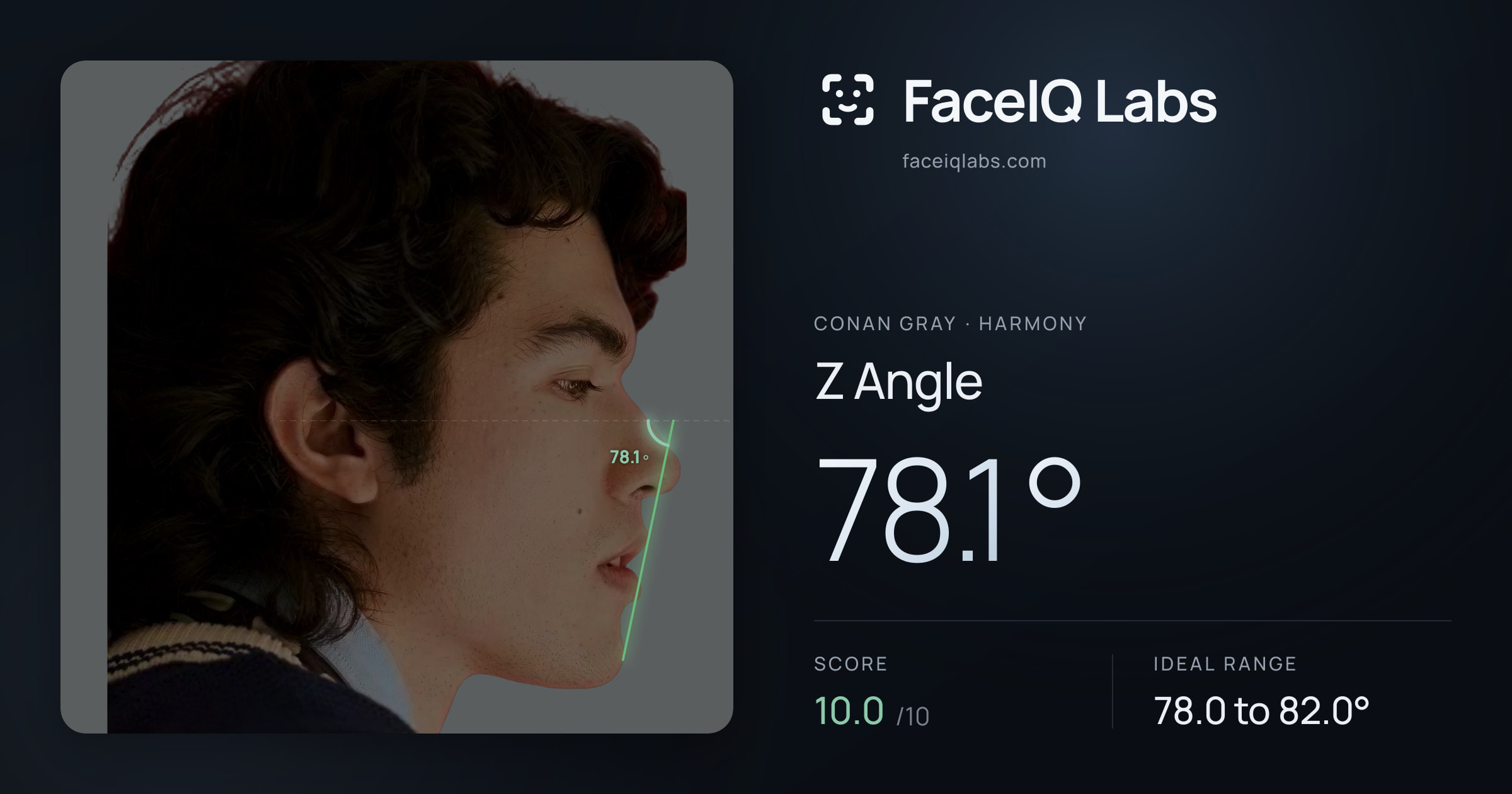 Conan Gray Z Angle: 78.1°, drawn on the photo